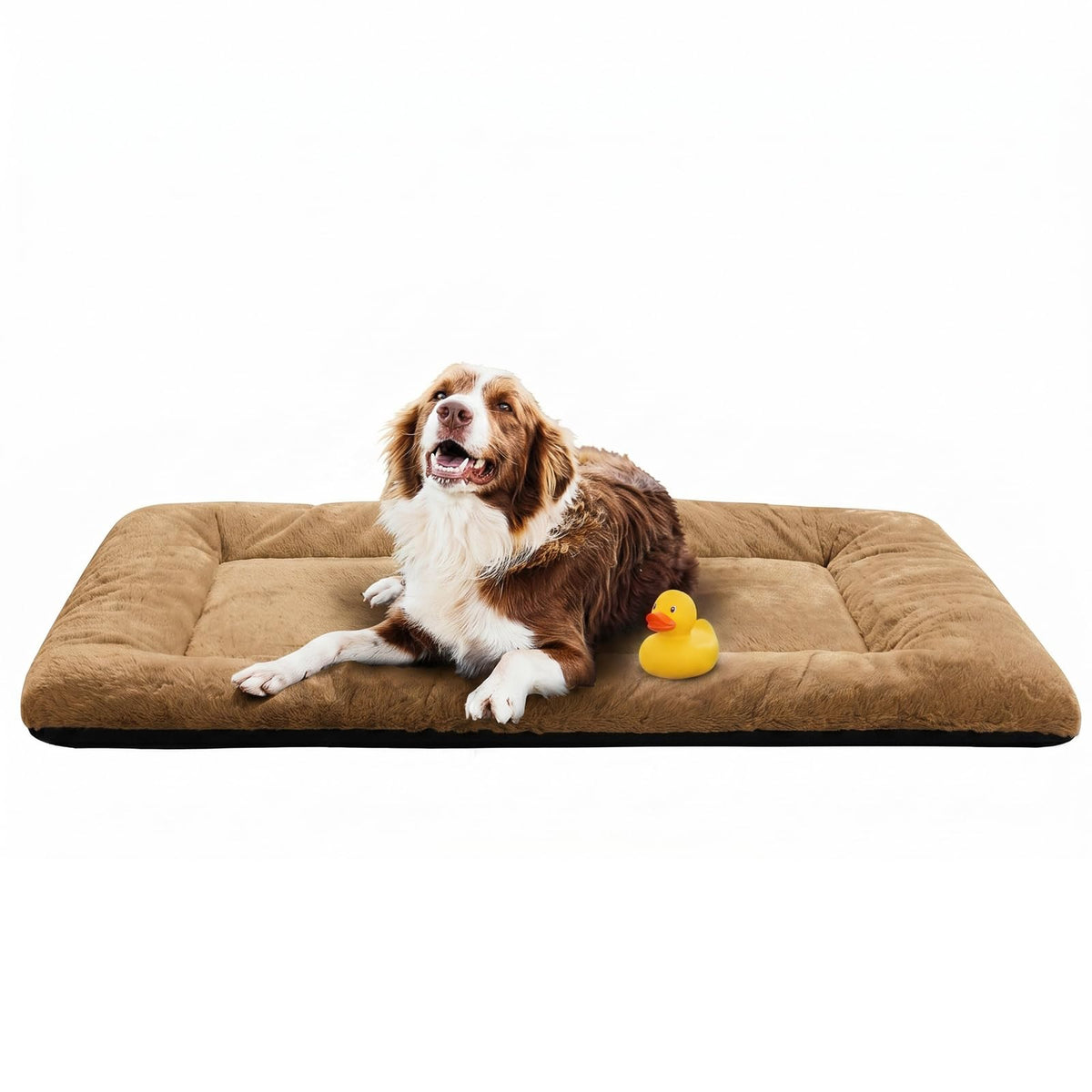 Dog Crate Pad Washable Dog Bed for Crate Medium Cozy Mat 36-Inch Gray