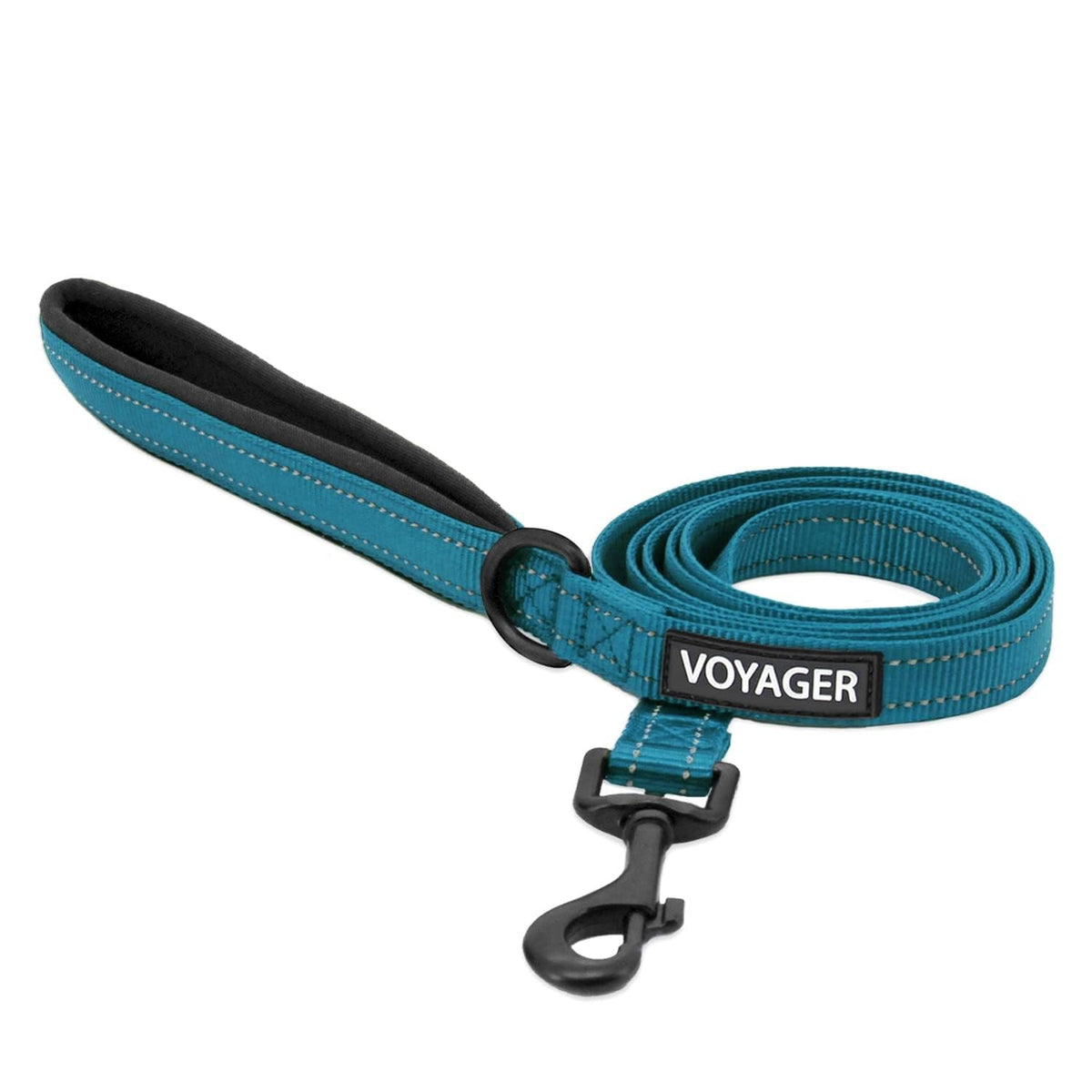 Best Pet Supplies Voyager Nylon Dog Leash - Baby Blue, Small