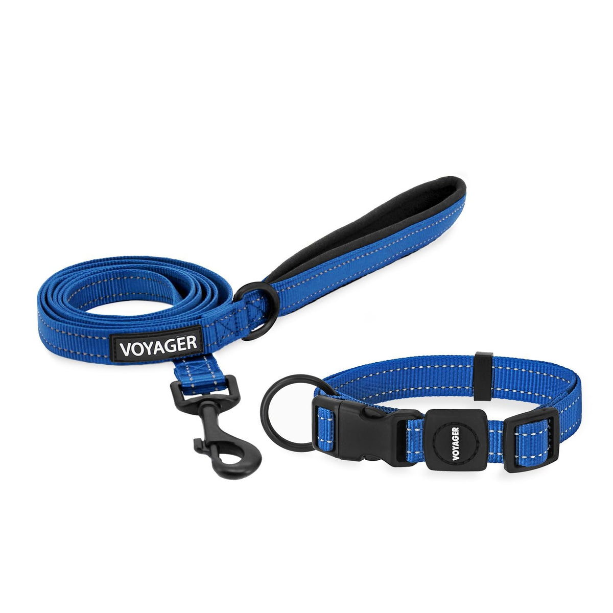 Best Pet Supplies Voyager Nylon Dog Leash - Baby Blue, Small