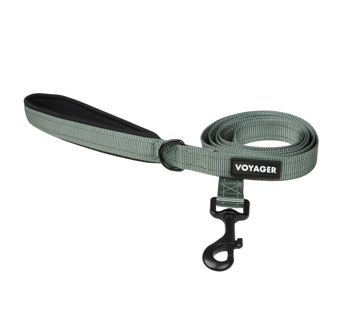 Best Pet Supplies Voyager Nylon Dog Leash - Baby Blue, Small