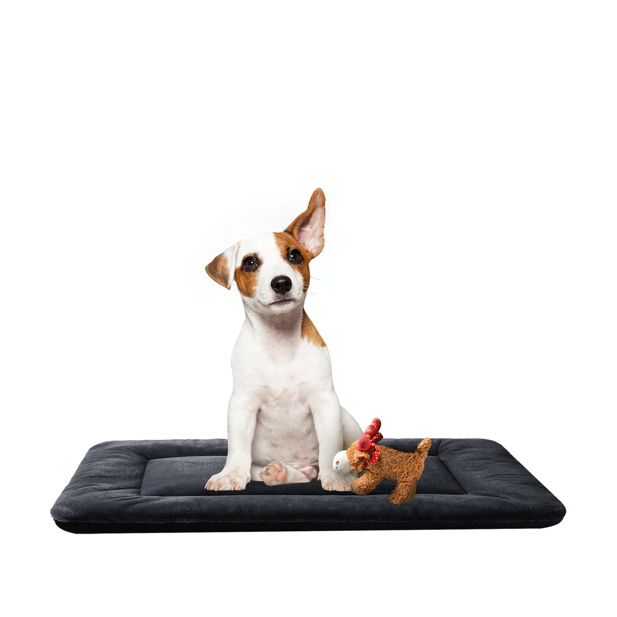 Dog Crate Pad Washable Dog Bed for Crate Medium Cozy Mat 36-Inch Gray