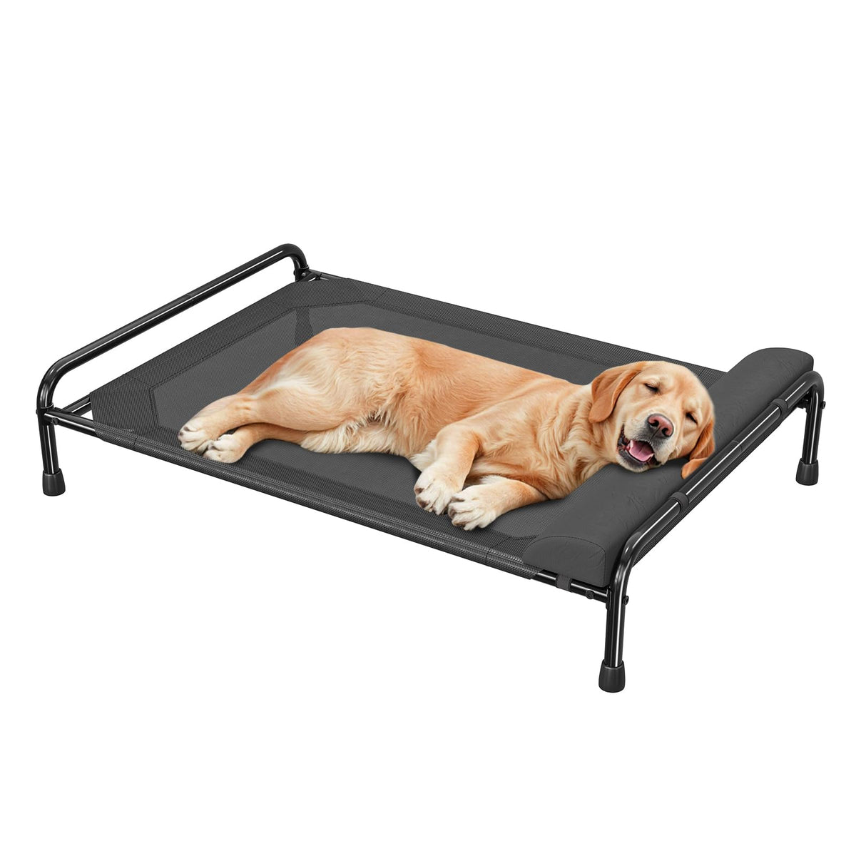 Simple Trending Raised Dog Bed for Large Dogs, Waterproof XL Dog Cot, Grey