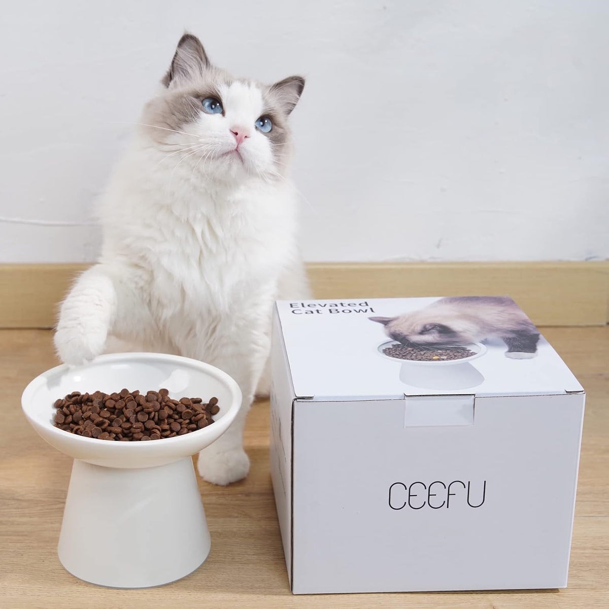 CEEFU Extra Wide Elevated Ceramic 6.2" Shallow Cat Food Bowl