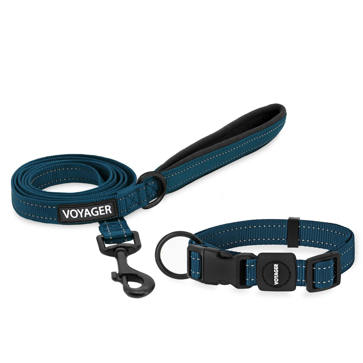 Best Pet Supplies Voyager Nylon Dog Leash - Baby Blue, Small