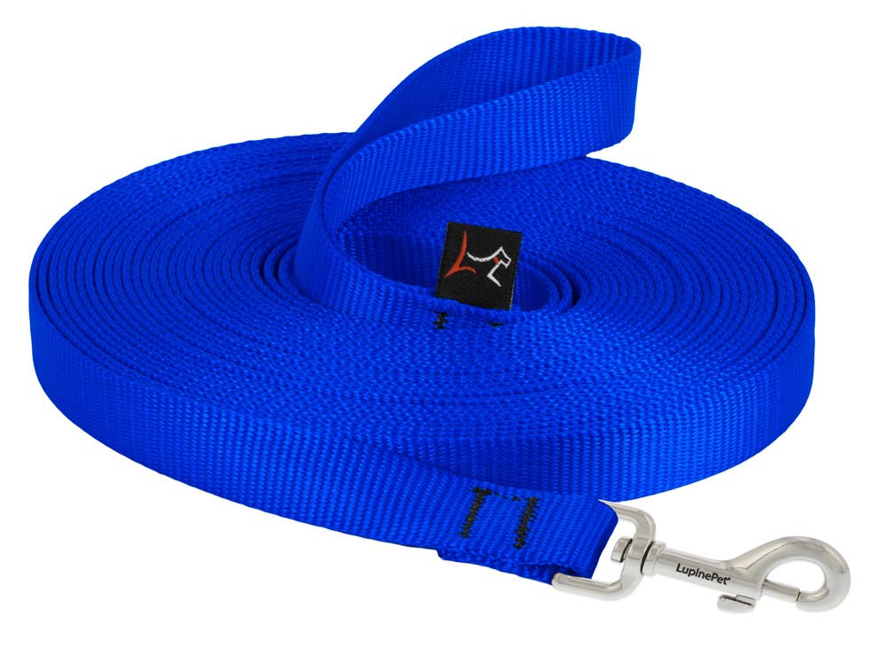 LupinePet Basics 3/4" Blaze Orange 30-Foot Extra-Long Training Lead/Leash for Medium and Larger Dogs