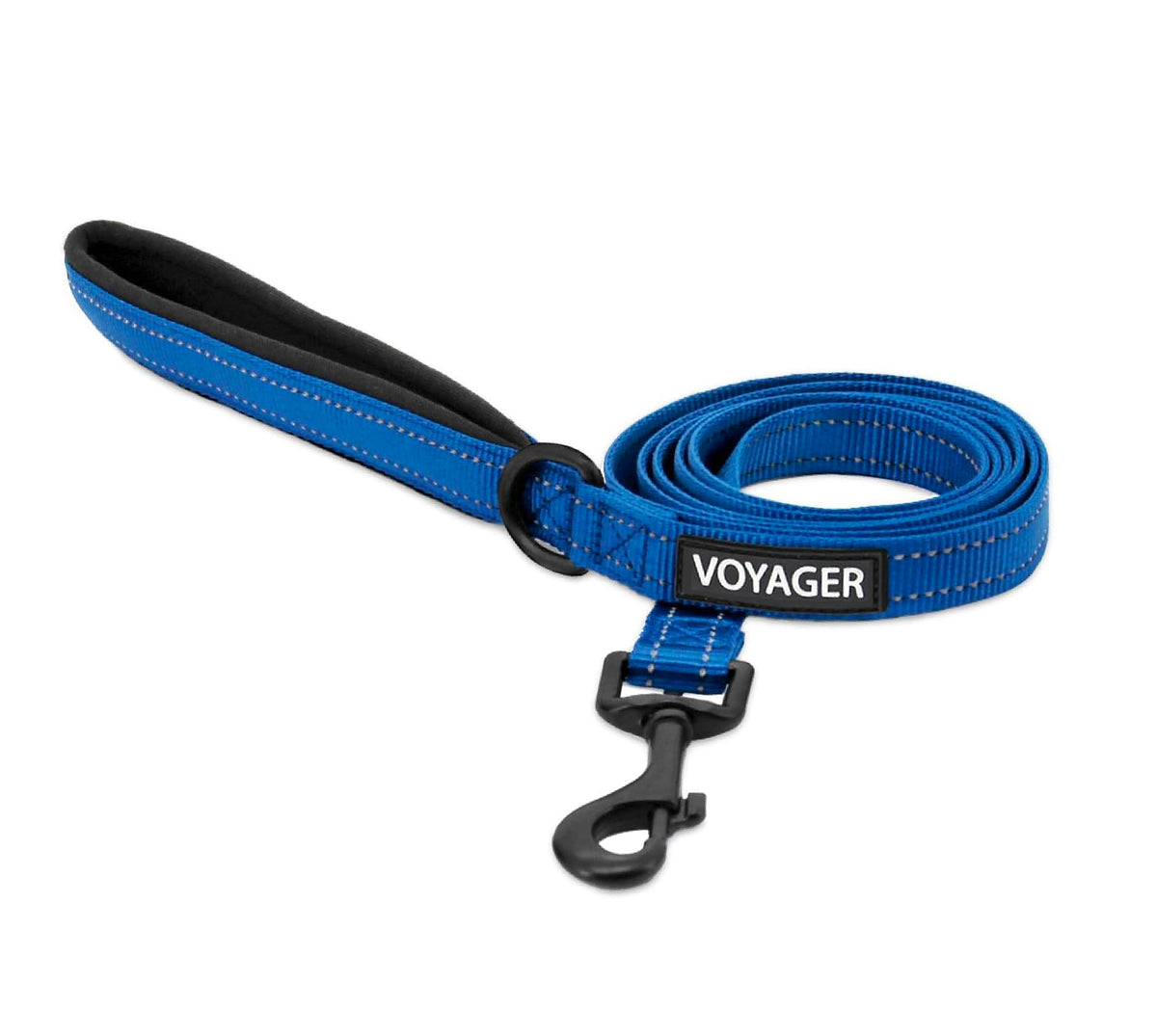 Best Pet Supplies Voyager Nylon Dog Leash - Black, Small