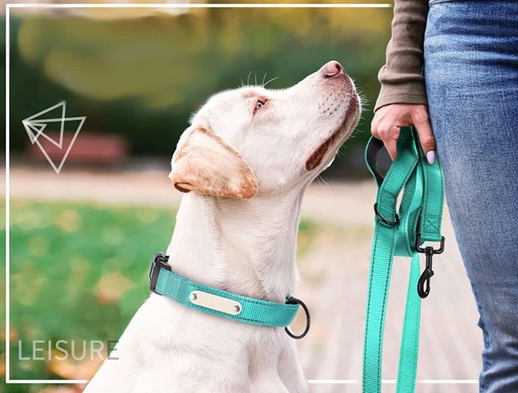 Double Handle Dog Leash 6ft, Reflective Nylon with Padded for Extra Control Outside Durable Training Lead for Small Medium Large Breed Pet Dogs, 1-Inch Width, Teal