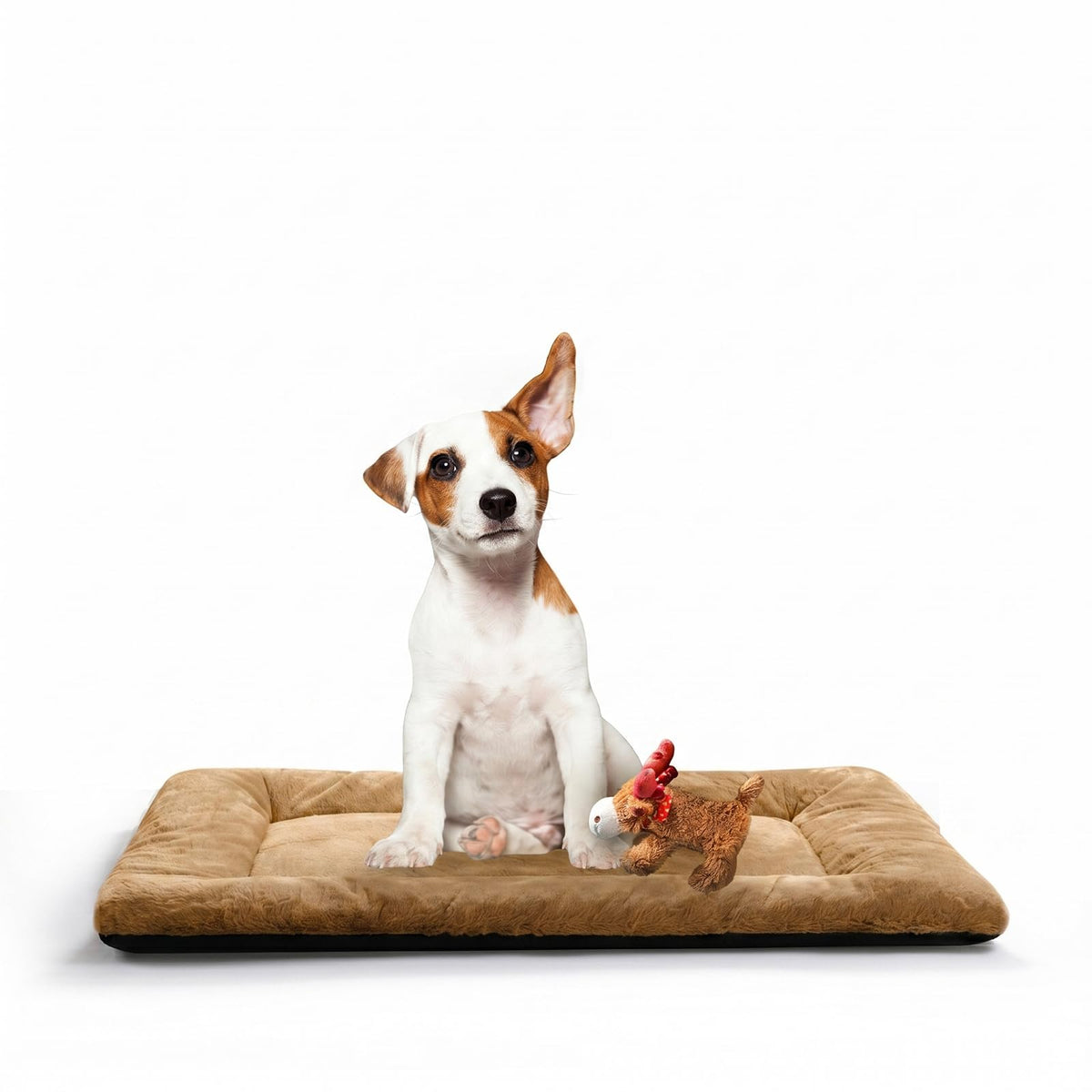 Dog Crate Pad Washable Dog Bed for Crate Medium Cozy Mat 36-Inch Gray