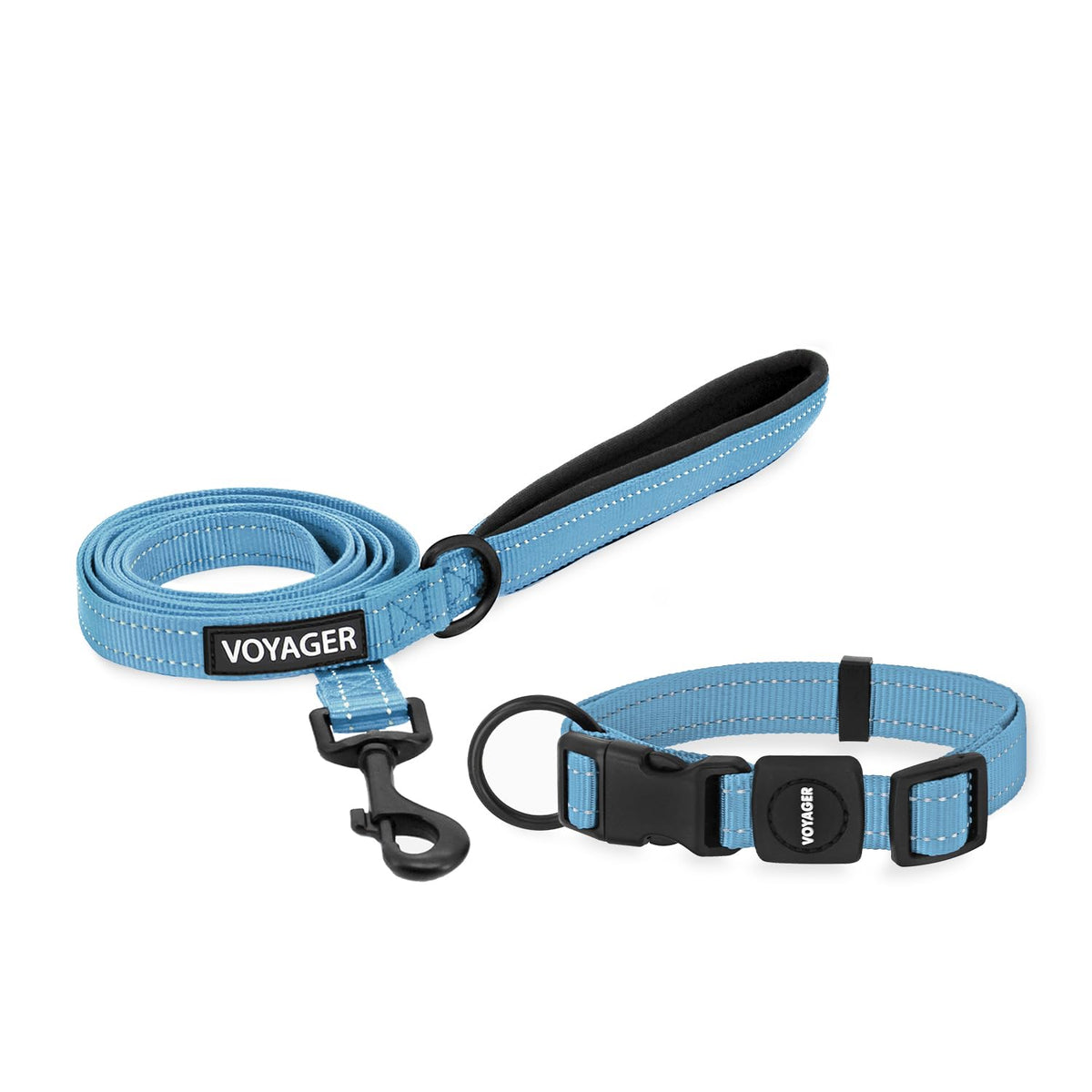 Best Pet Supplies Voyager Nylon Dog Leash - Baby Blue, Small