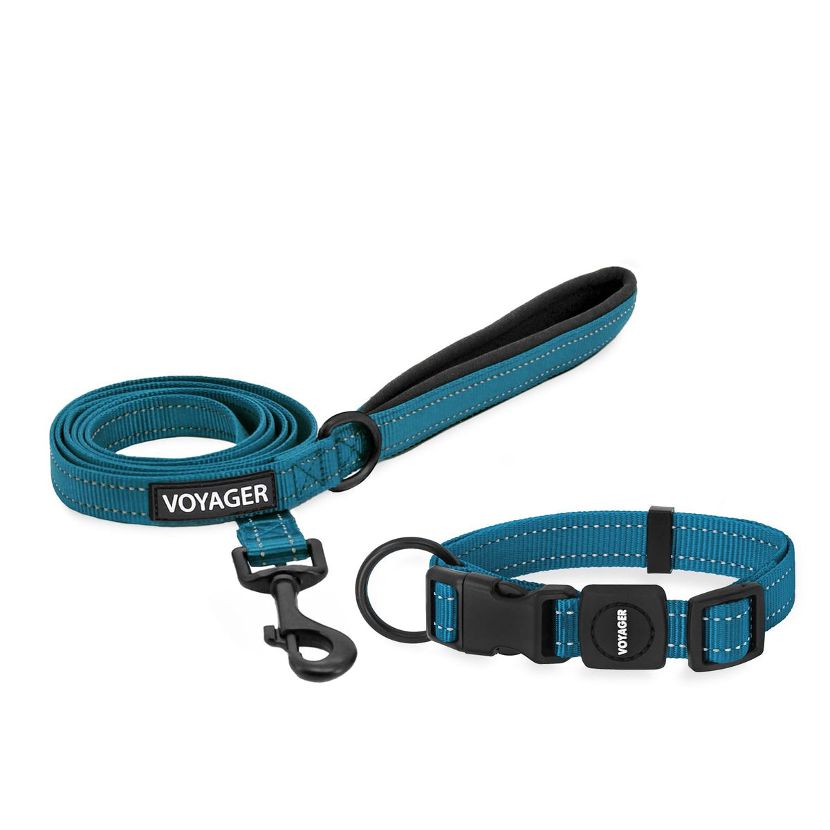 Best Pet Supplies Voyager Nylon Dog Leash - Baby Blue, Small