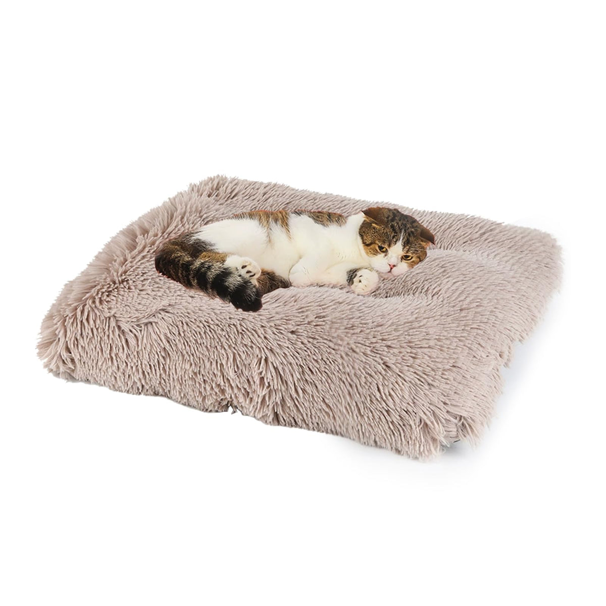 Washable Calming Dog & Cat Bed for Ultra Large Small Medium Size Pet