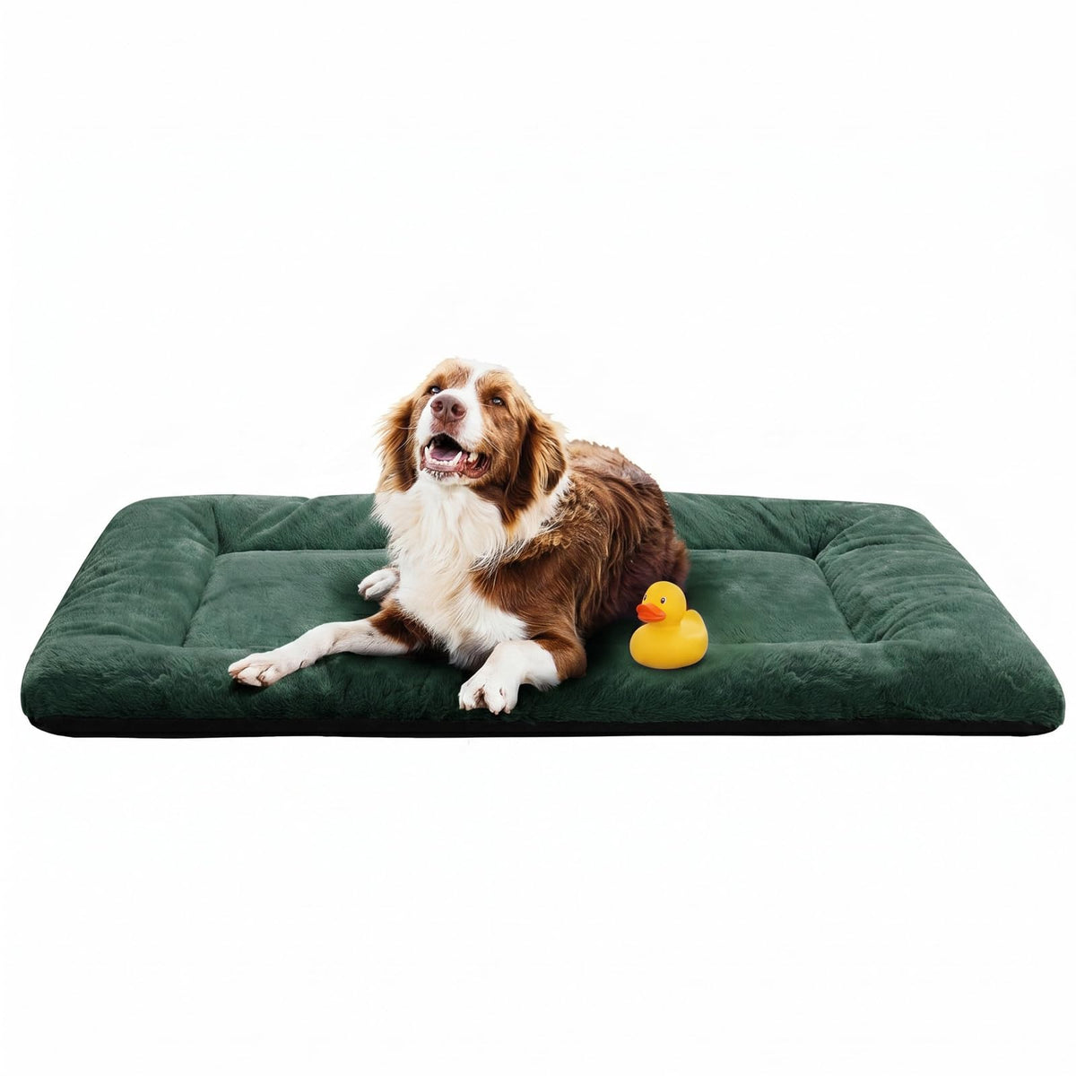 Dog Crate Pad Washable Dog Bed for Crate Medium Cozy Mat 36-Inch Gray