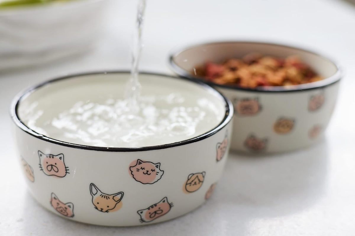 Pearhead Ceramic Cat Bowl, Holds 12 oz, Cute Cat Face Design