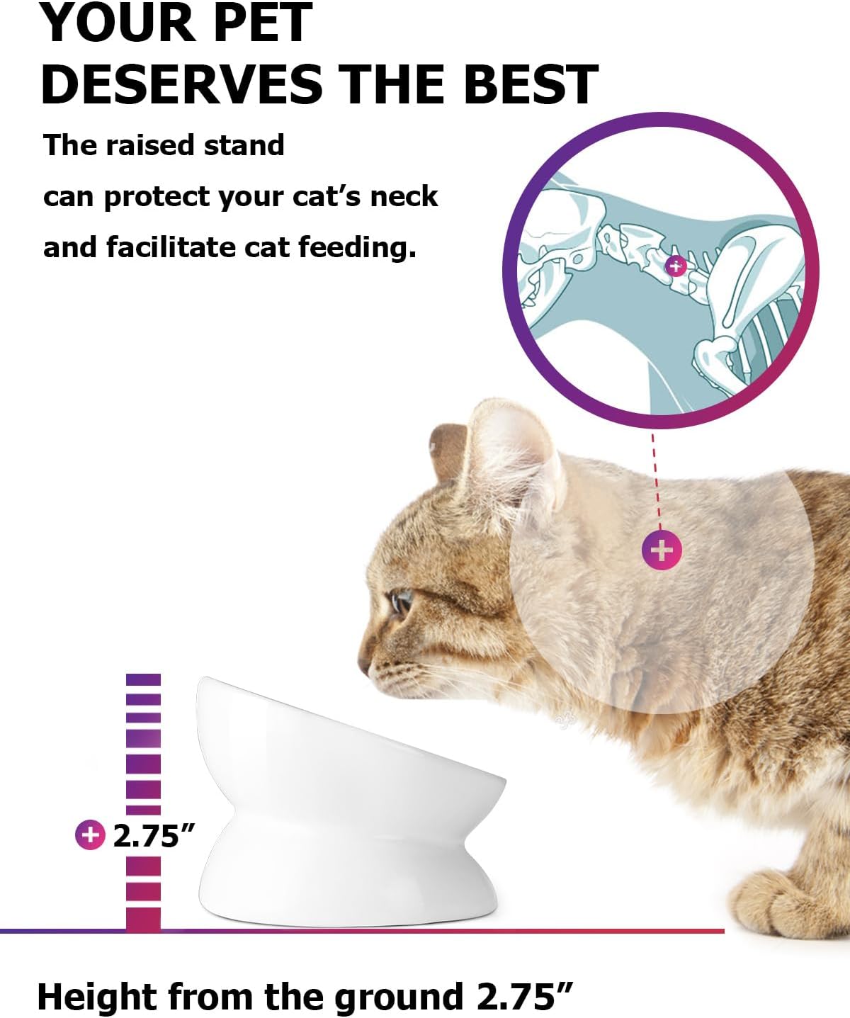 Y YHY Cat Bowl Anti Vomiting, Raised Food Bowls, Tilted Elevated Bowl, Ceramic Pet Food Bowl for Flat Faced Cats, Small Dogs, Protect Pet's Spine, Dishwasher Safe (5 Inches, White)