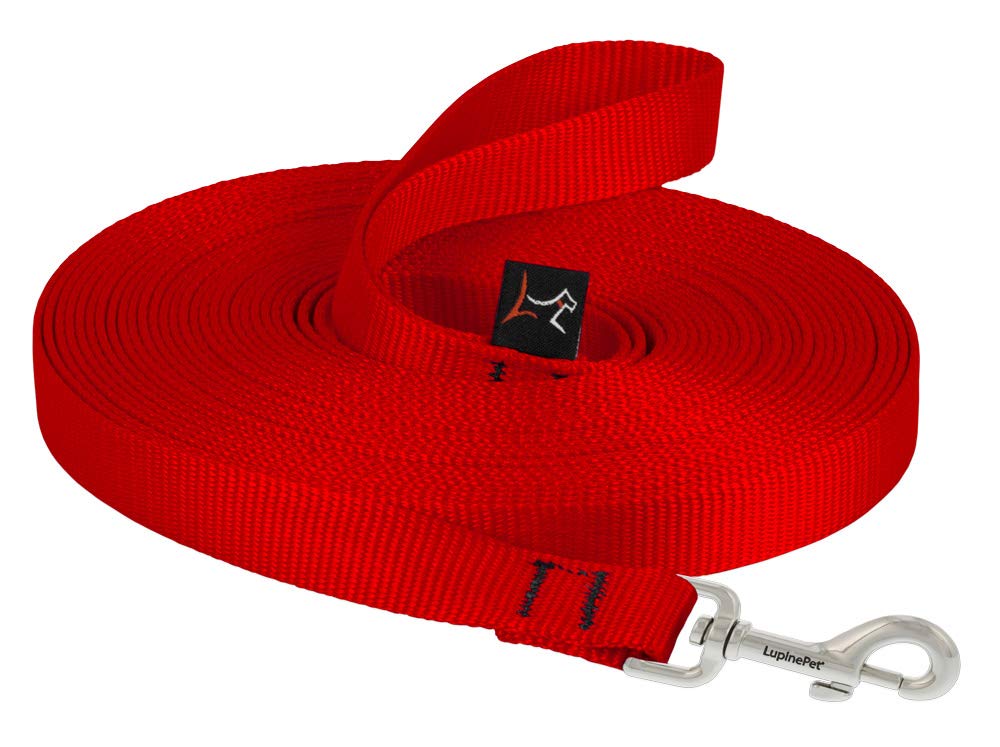 LupinePet Basics 3/4" Blaze Orange 30-Foot Extra-Long Training Lead/Leash for Medium and Larger Dogs