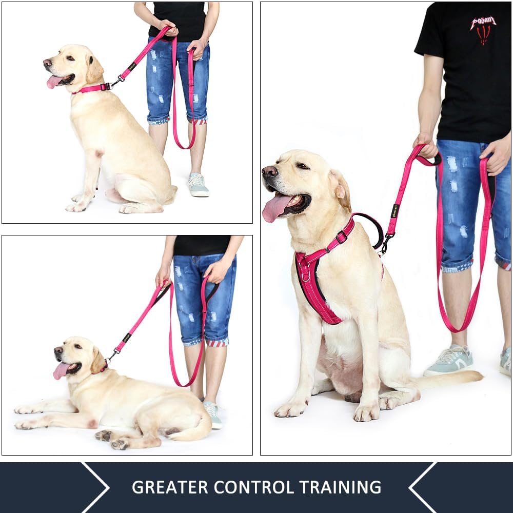 Plutus Pet Double Handle Dog Leash, 6 FT Long, for Medium Large Dogs