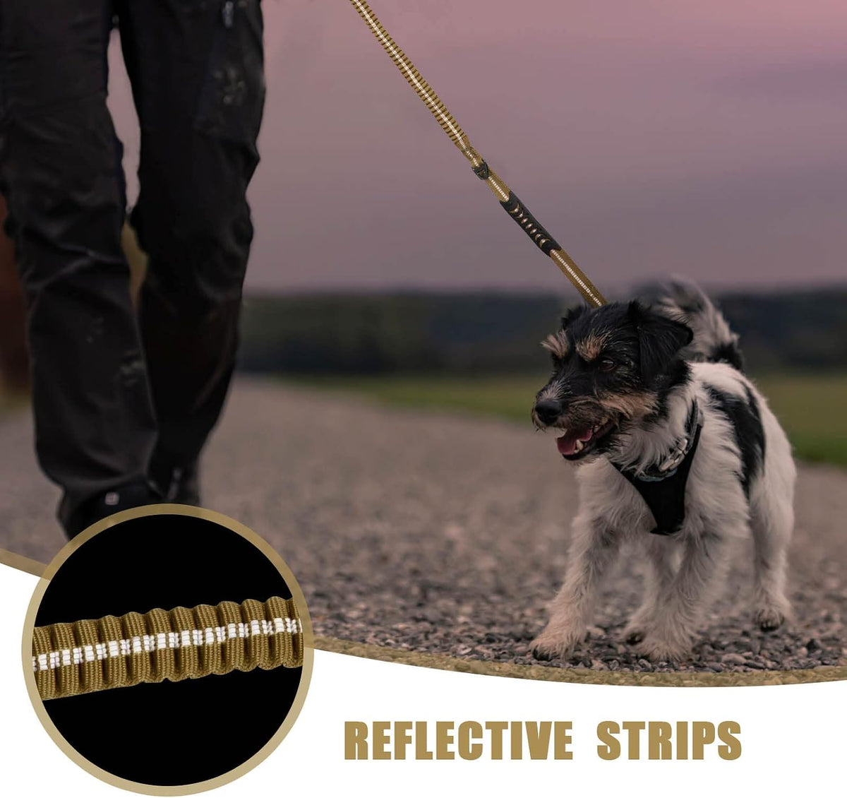 Raipult Tactical Shock Absorbing Bungee Dog Leash Heavy Duty, 4-6ft, Khaki