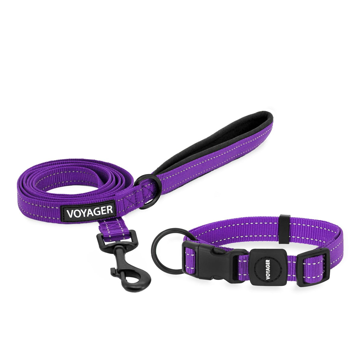 Best Pet Supplies Voyager Nylon Dog Leash - Baby Blue, Small