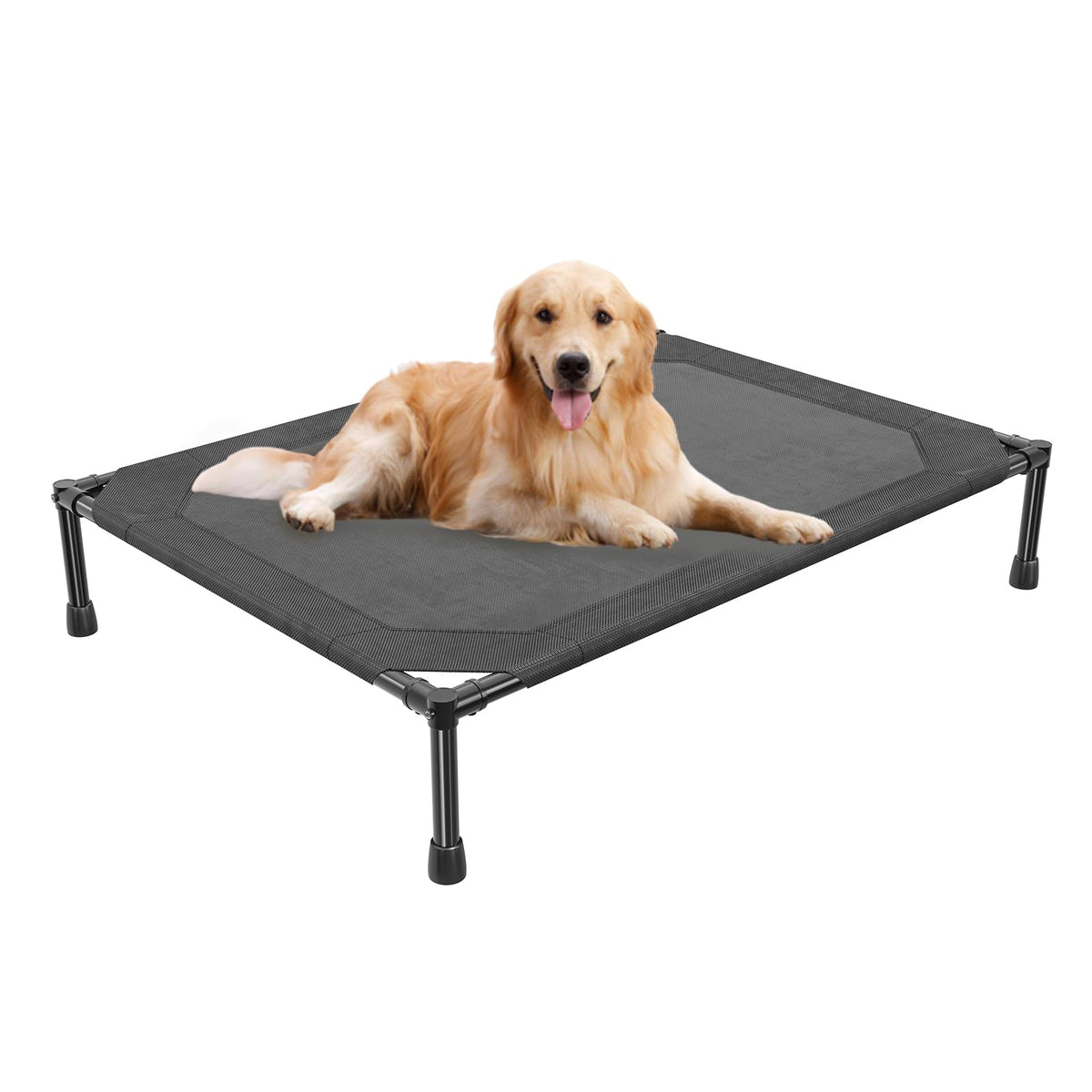 Simple Trending Raised Dog Bed for Large Dogs, Waterproof XL Dog Cot, Grey