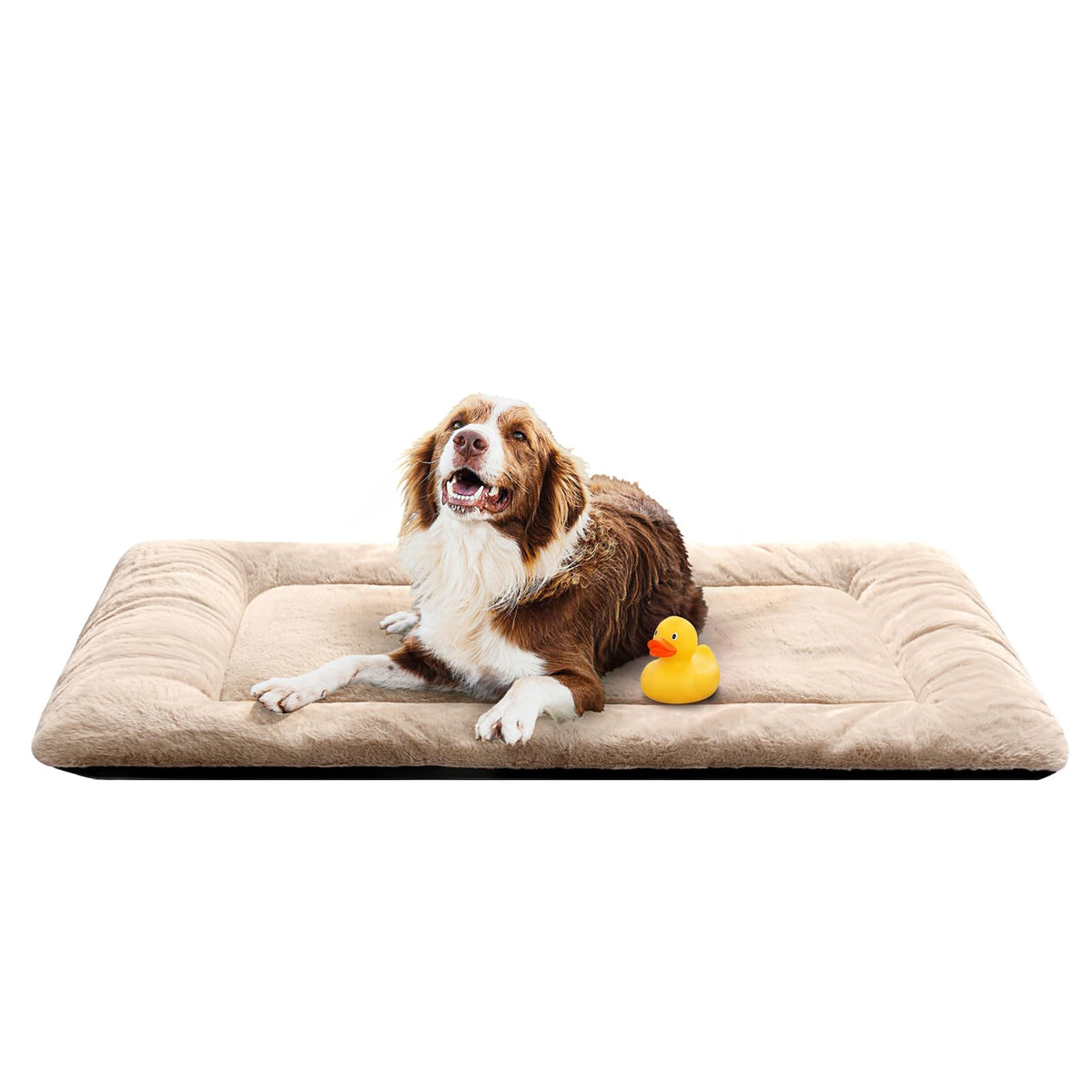 Dog Crate Pad Washable Dog Bed for Crate Medium Cozy Mat 36-Inch Gray