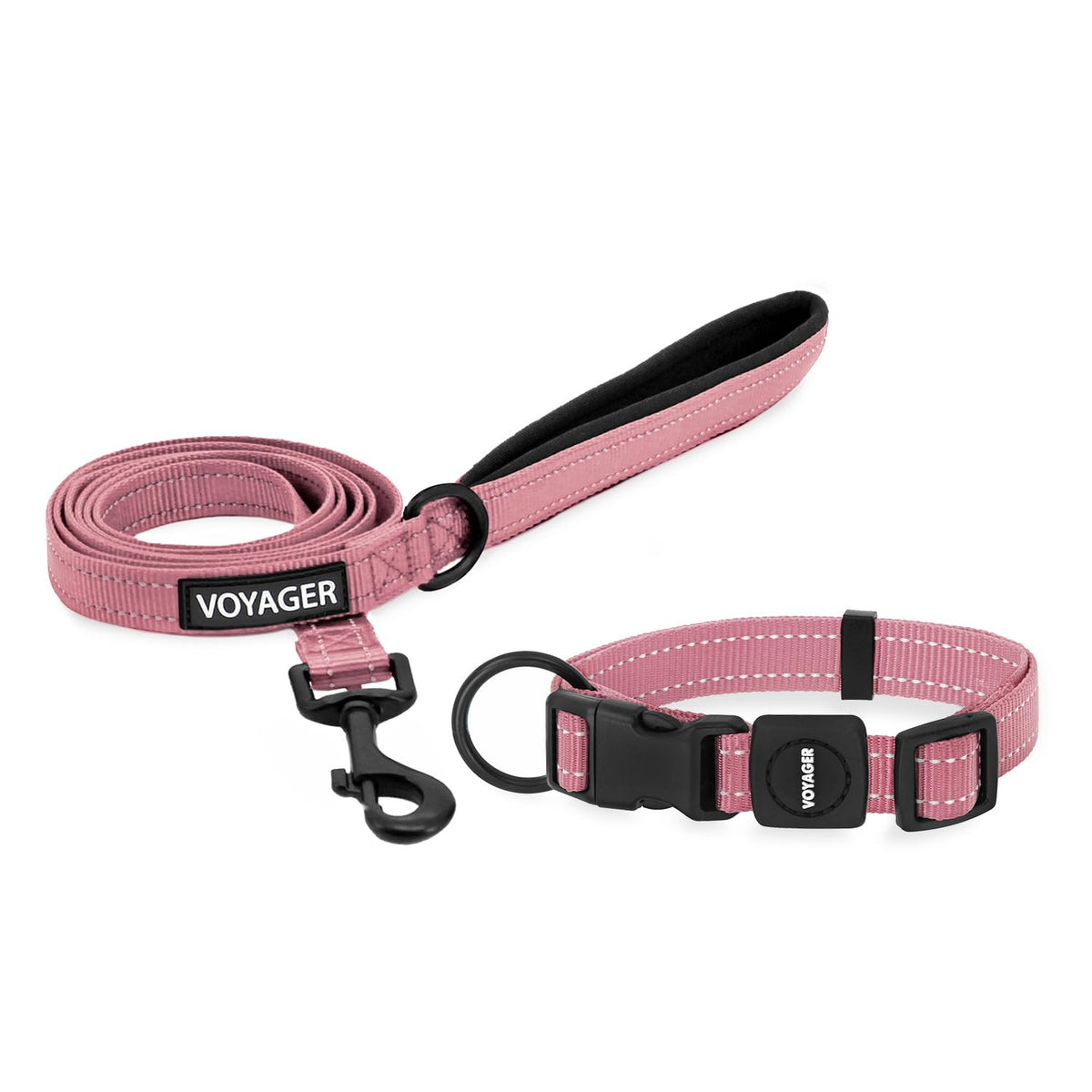 Best Pet Supplies Voyager Nylon Dog Leash - Baby Blue, Small