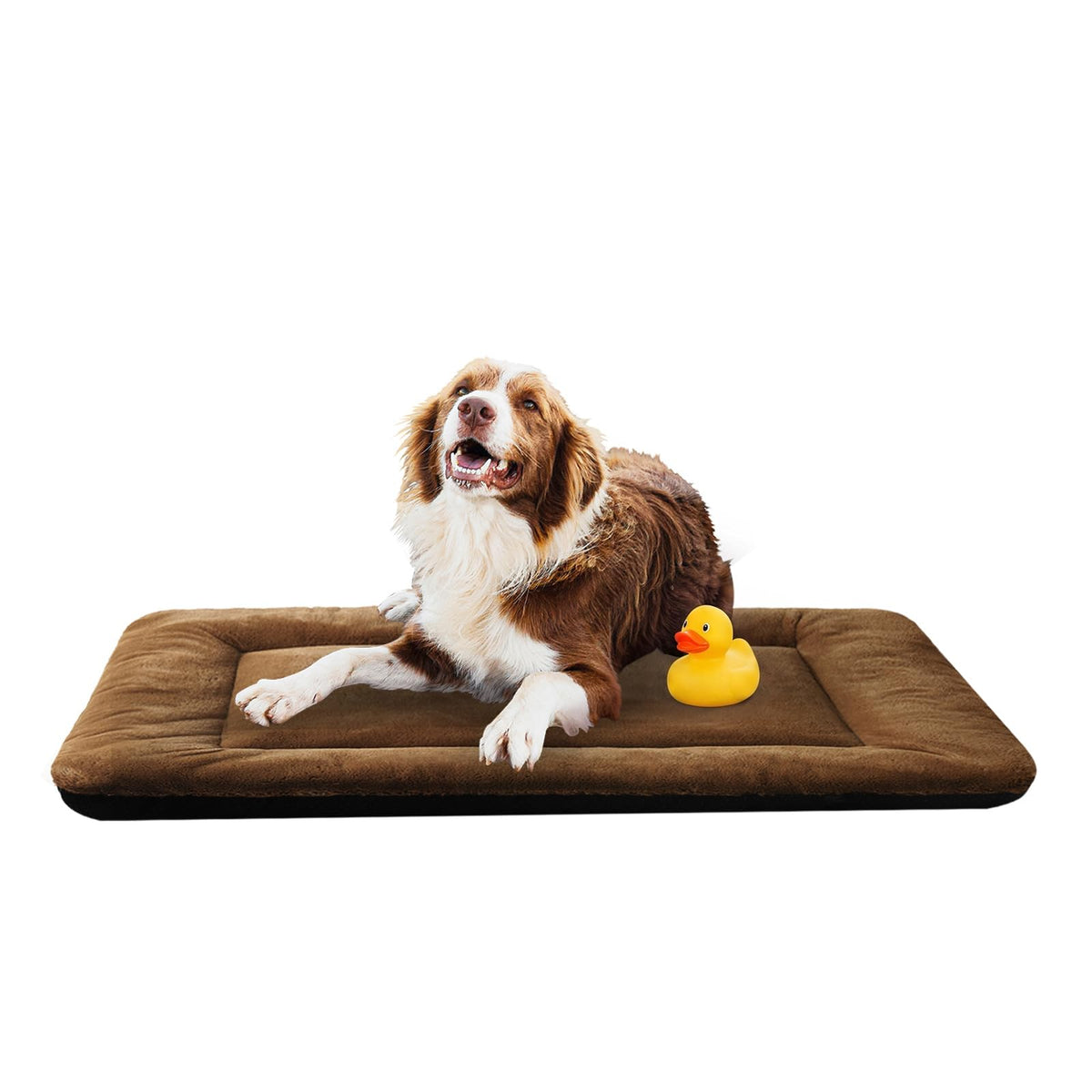 Dog Crate Pad Washable Dog Bed for Crate Medium Cozy Mat 36-Inch Gray