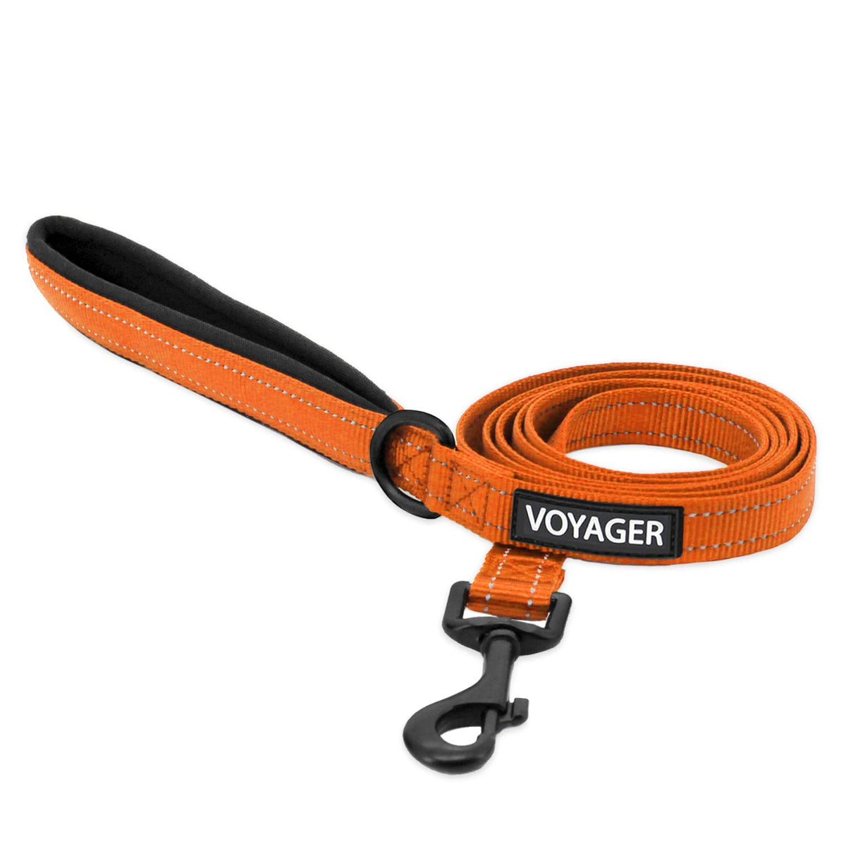 Best Pet Supplies Voyager Nylon Dog Leash - Baby Blue, Small