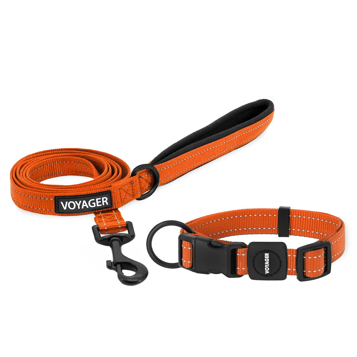 Best Pet Supplies Voyager Nylon Dog Leash - Baby Blue, Small
