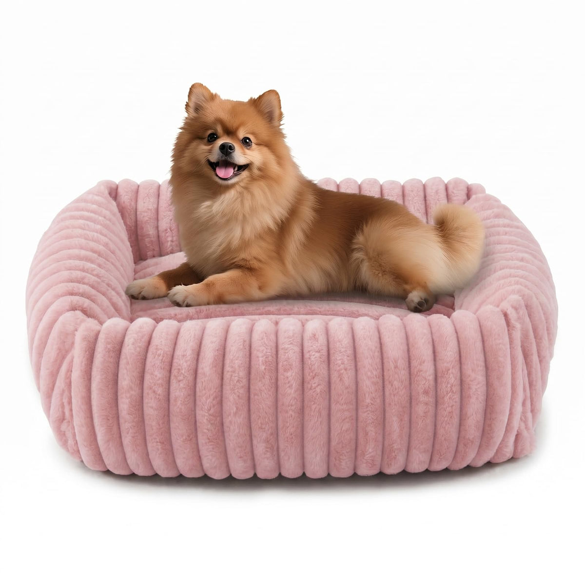 FURTIME Washable Dog Bed for Small Dogs, Cat Beds for Indoor Cats, 20"