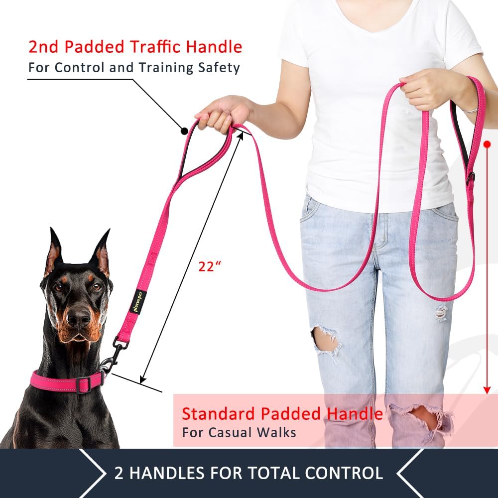 Plutus Pet Double Handle Dog Leash, 6 FT Long, for Medium Large Dogs