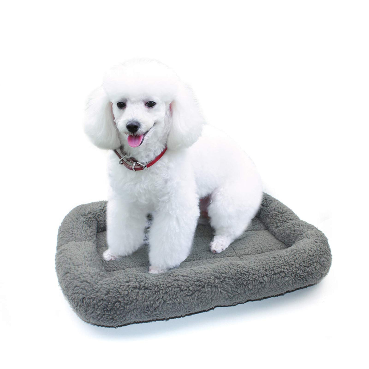Enjoying Cat Mat Bed 10" x 15" Pet Bed with Pillow Around for Puppy Kitten Curled Sleeping Beds for Carrier/Crate Small Dog Cushion, Anti Skid Bottom, Small