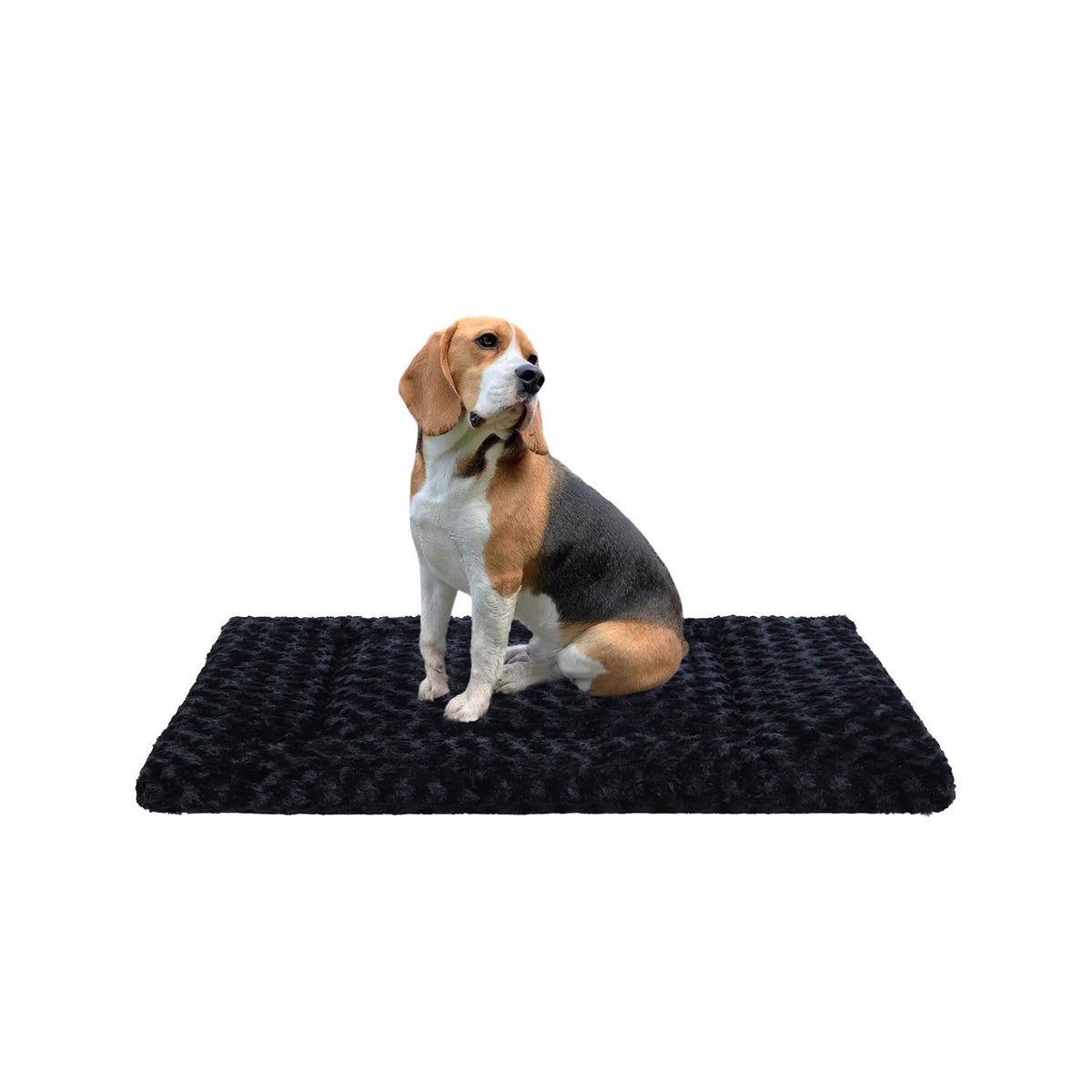 Exsnugy Washable Dog Bed Mat Medium Size Fluffy Pet Crate Pad 36x23