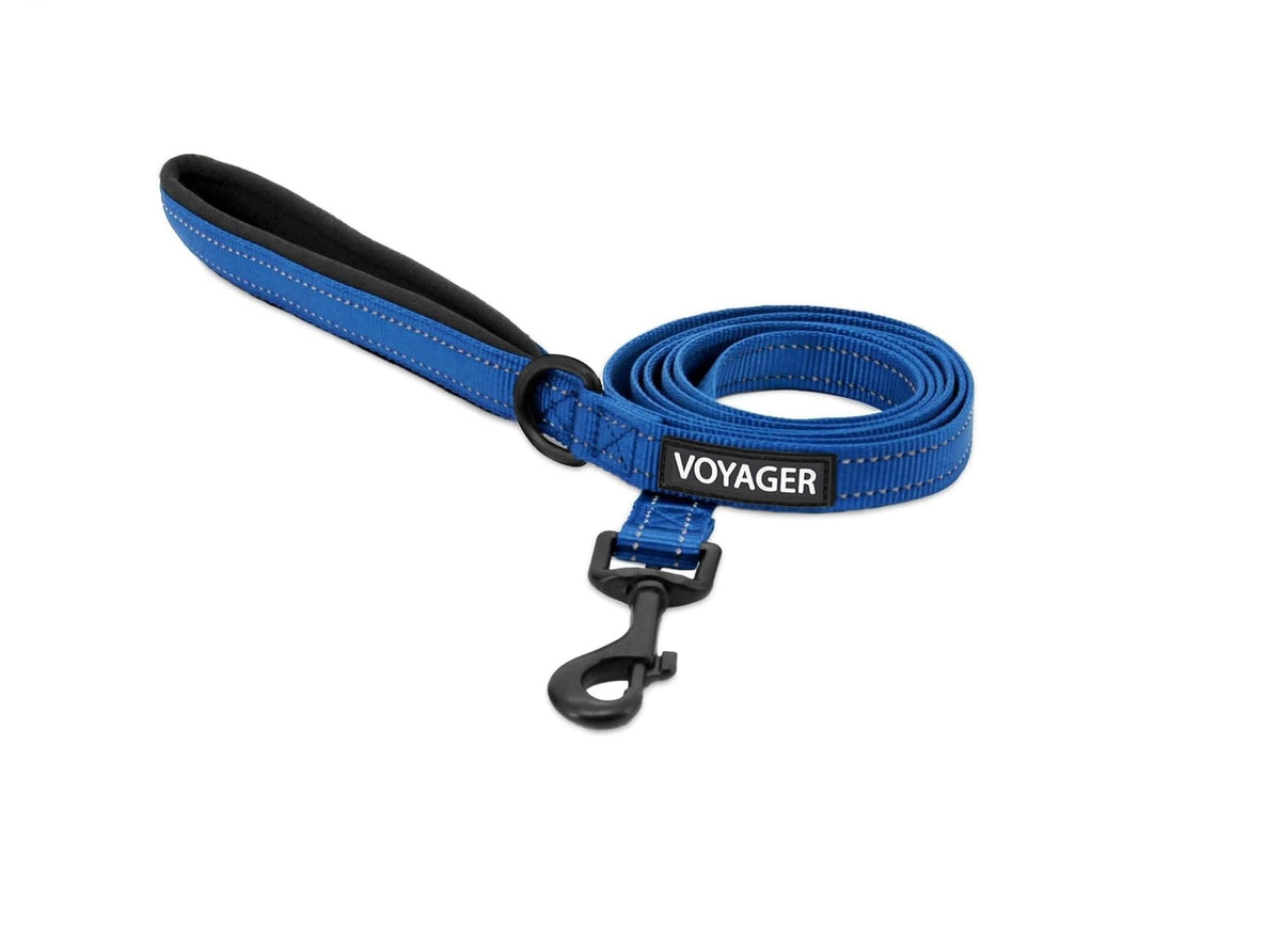 Best Pet Supplies Voyager Nylon Dog Leash - Black, Small