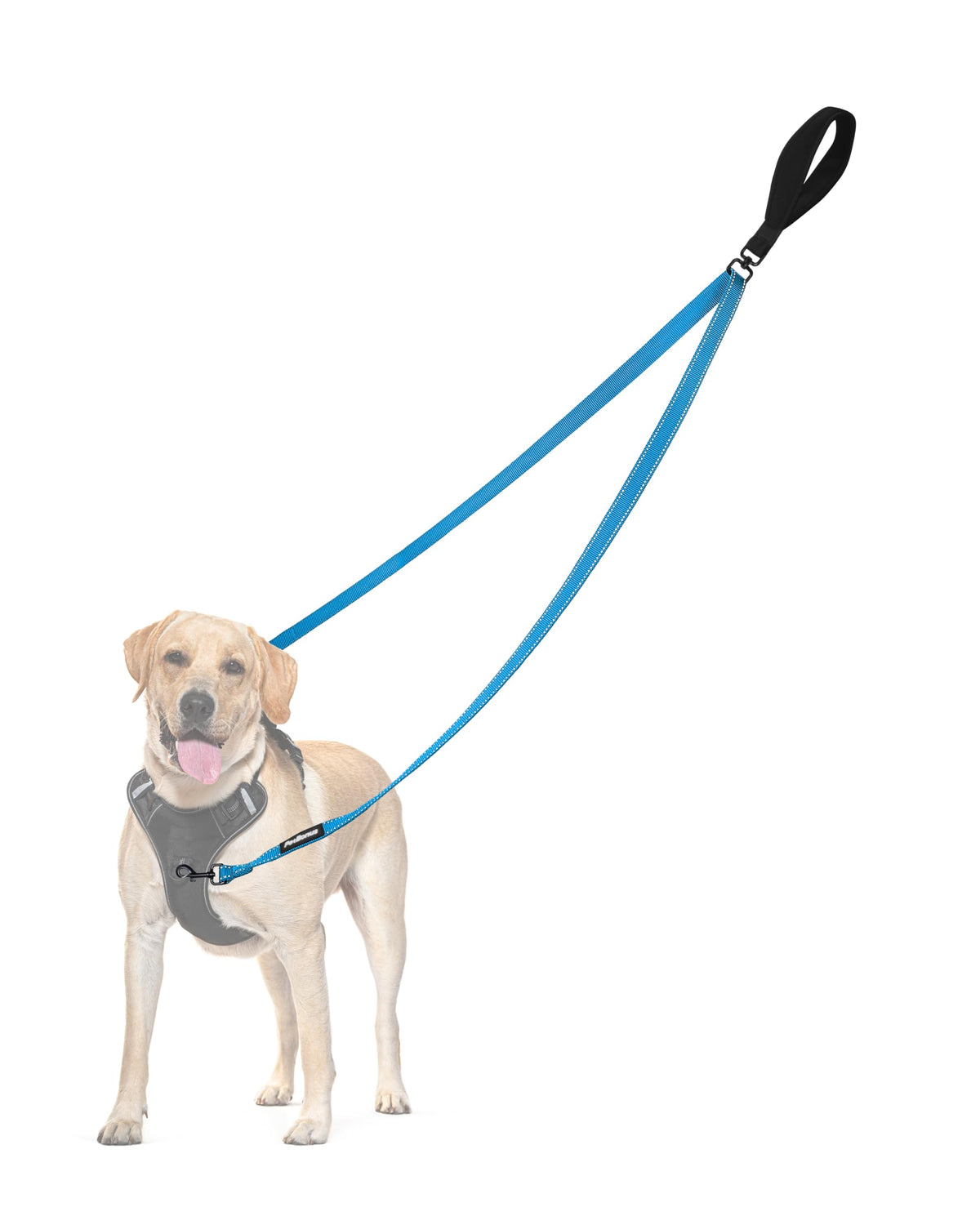 PetBonus Two Point Control Dog Leash, No Tangle Training Walking Leashes
