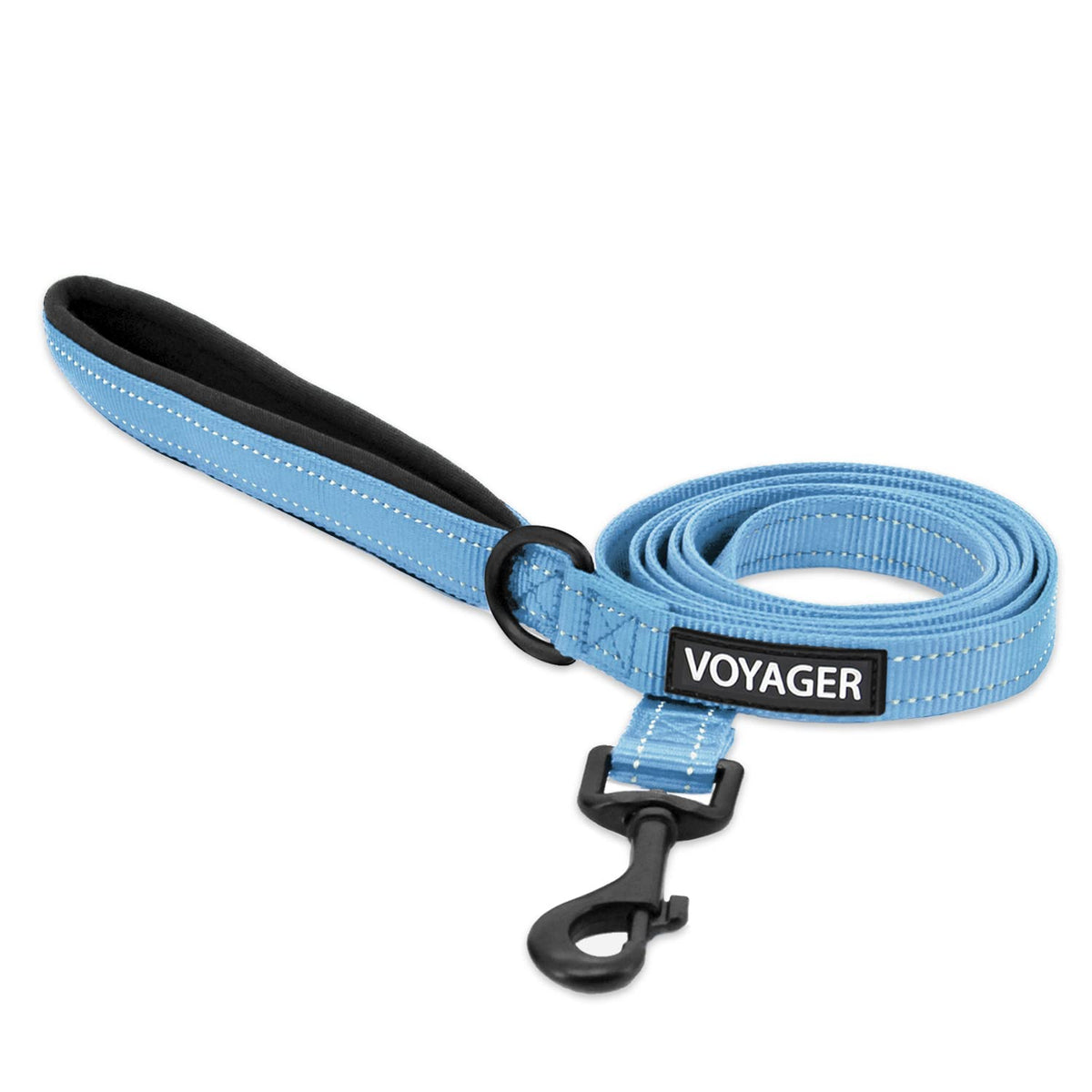 Best Pet Supplies Voyager Nylon Dog Leash - Baby Blue, Small
