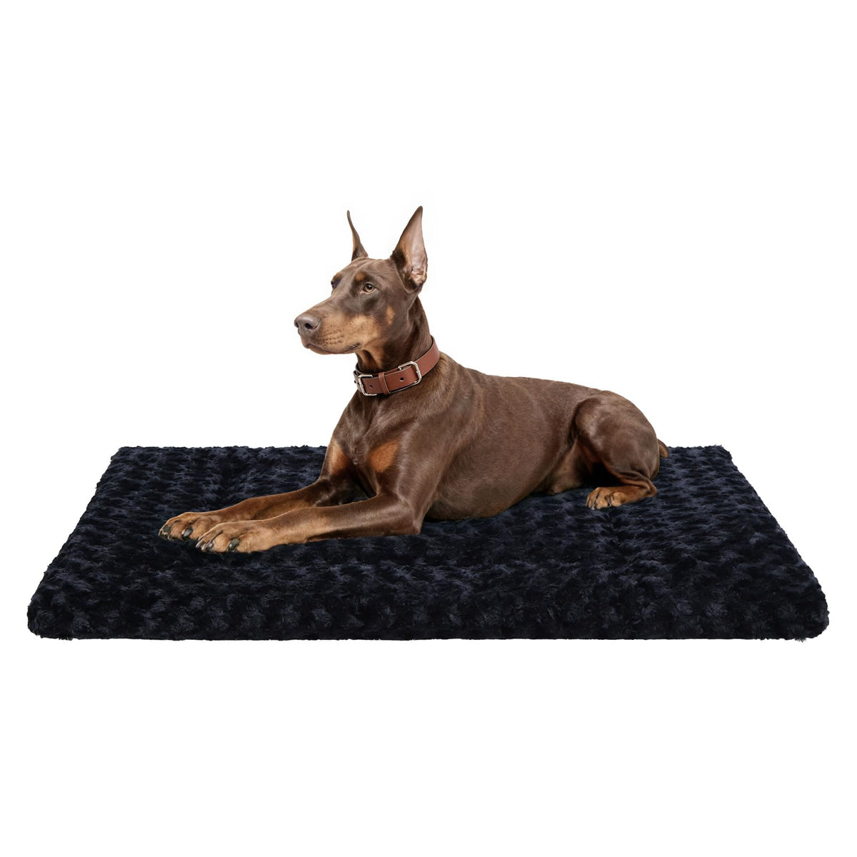 Exsnugy Washable Dog Bed Mat Medium Size Fluffy Pet Crate Pad 36x23