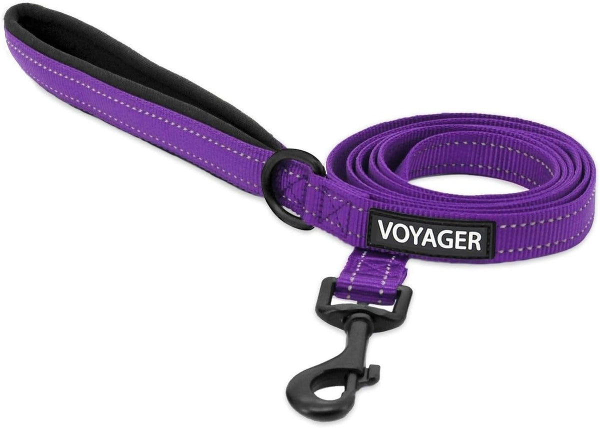 Best Pet Supplies Voyager Nylon Dog Leash - Baby Blue, Small