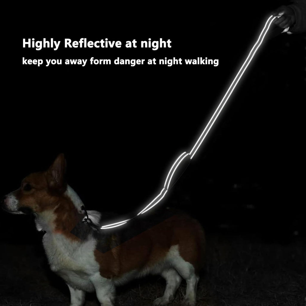 6 FT Black Nylon Reflective Dog Leash for Large Dogs with 2 Padded Handle