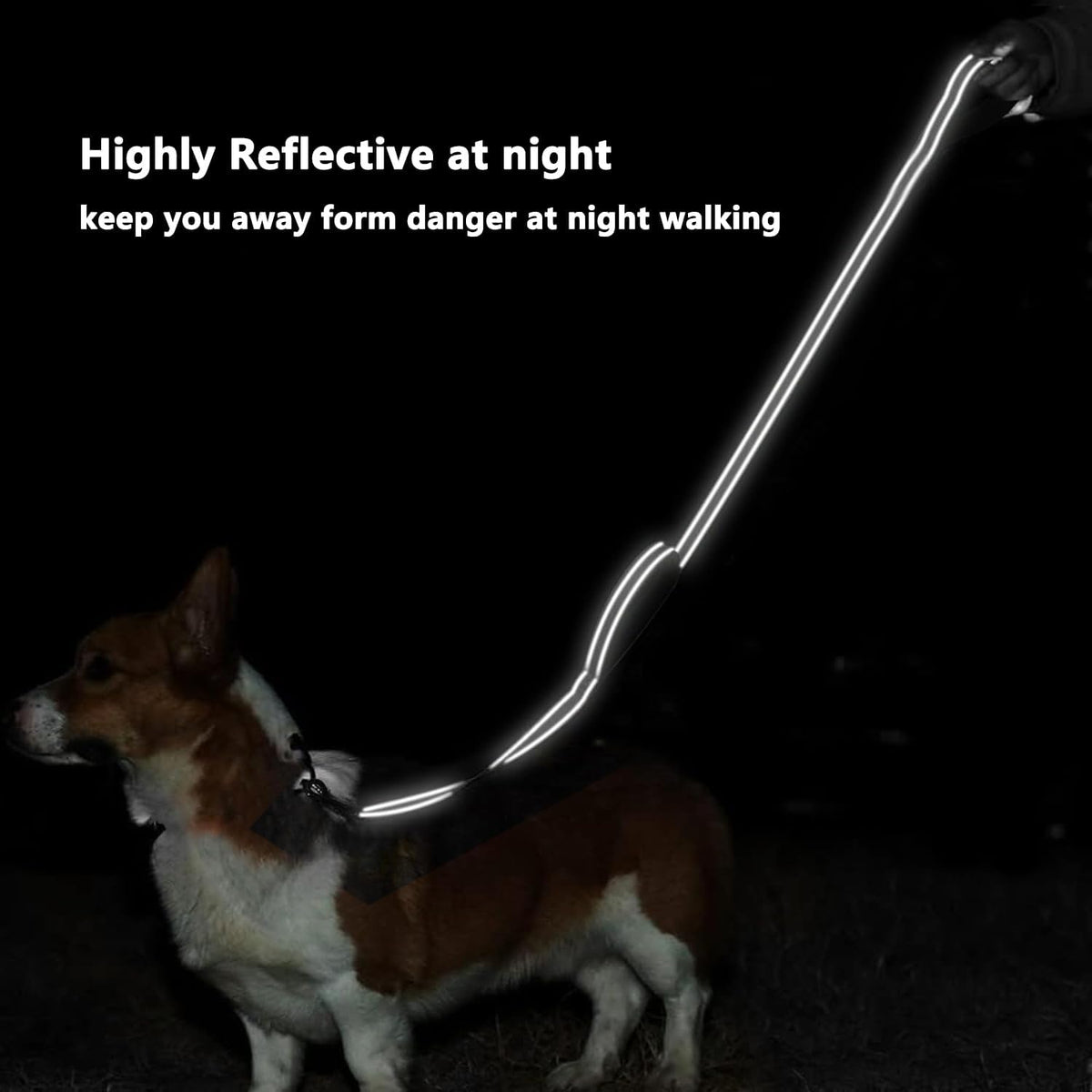 6 FT Black Nylon Reflective Dog Leash for Large Dogs with 2 Padded Handle