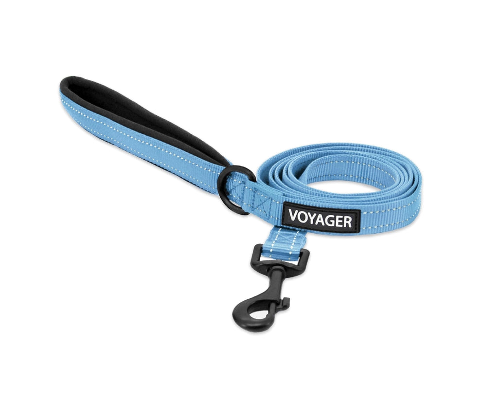 Best Pet Supplies Voyager Nylon Dog Leash - Baby Blue, Small