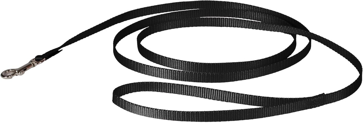 PetSafe Nylon Dog Leash - Strong, Durable, Traditional Style Leash with Easy to Use Bolt Snap - 3/8 in. x 6 ft., Black