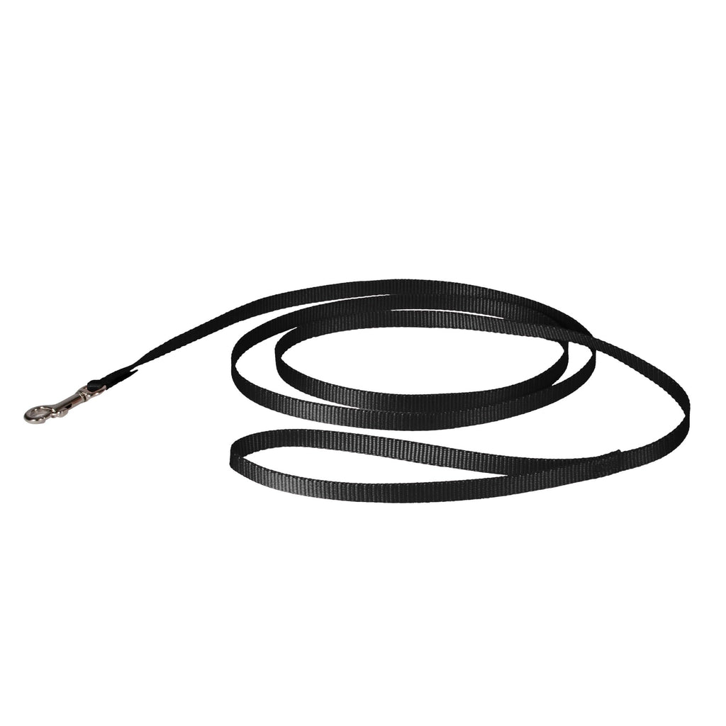 PetSafe Nylon Dog Leash - Strong, Durable, Traditional Style Leash with Easy to Use Bolt Snap - 3/8 in. x 6 ft., Black