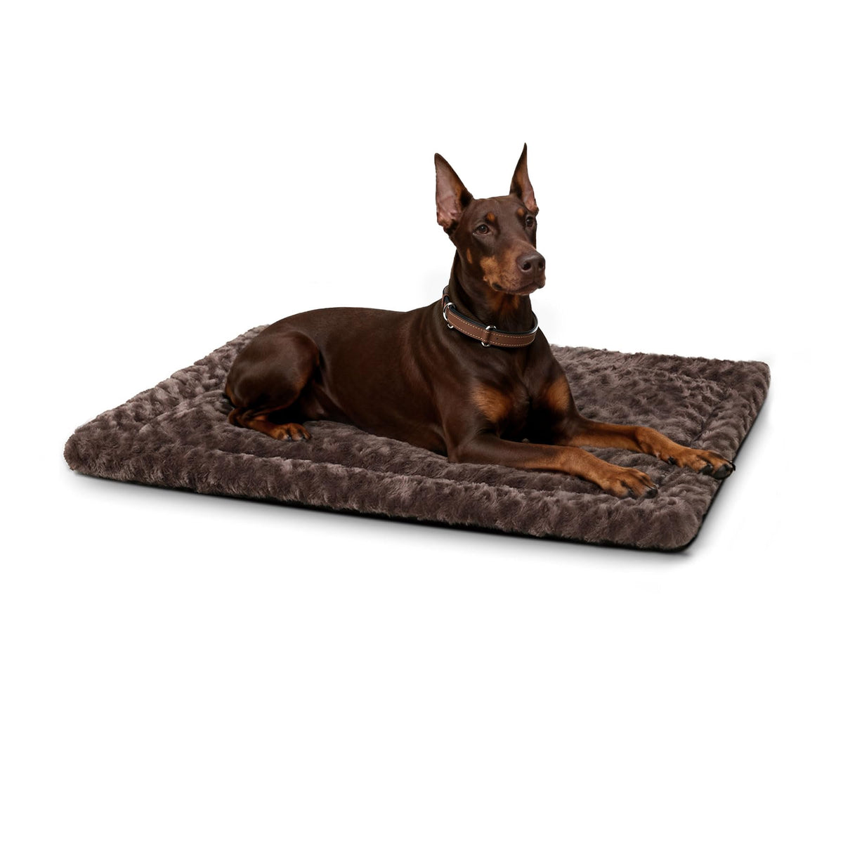 Exsnugy Washable Dog Bed Mat Medium Size Fluffy Pet Crate Pad 36x23