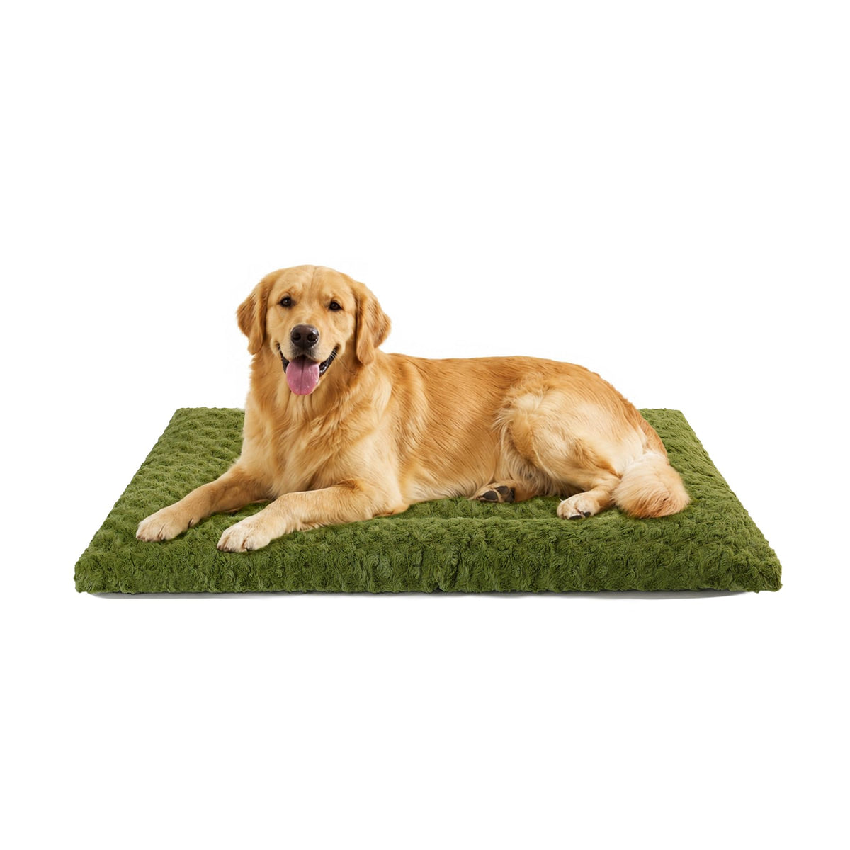 Exsnugy Washable Dog Bed Mat Medium Size Fluffy Pet Crate Pad 36x23