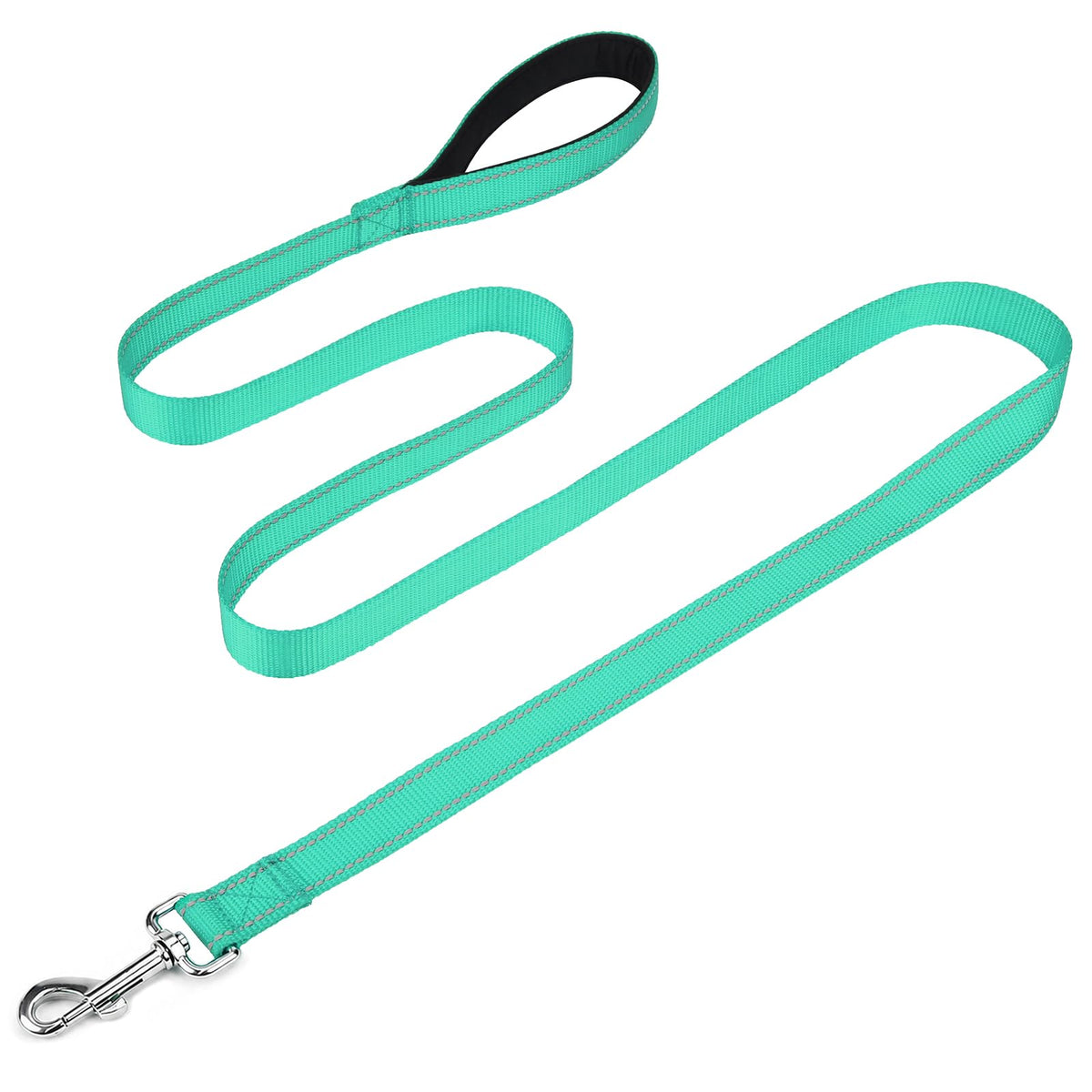 FunTags Reflective Nylon Dog Leash for Medium & Large Dogs, 6FT for Walks