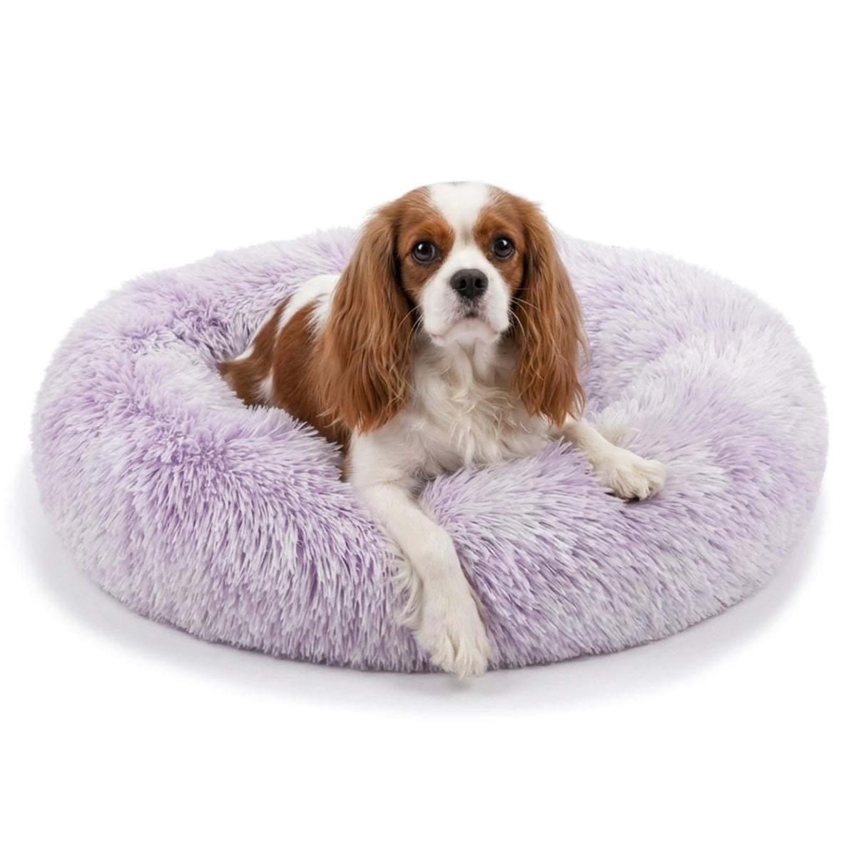 Small Calming Dogs Bed for Small Dogs Anti-Anxiety Machine Washable Fluffy Luxury Anti-Slip Waterproof Mute Base Warming Cozy Soft Pet Puppy Round Bed
