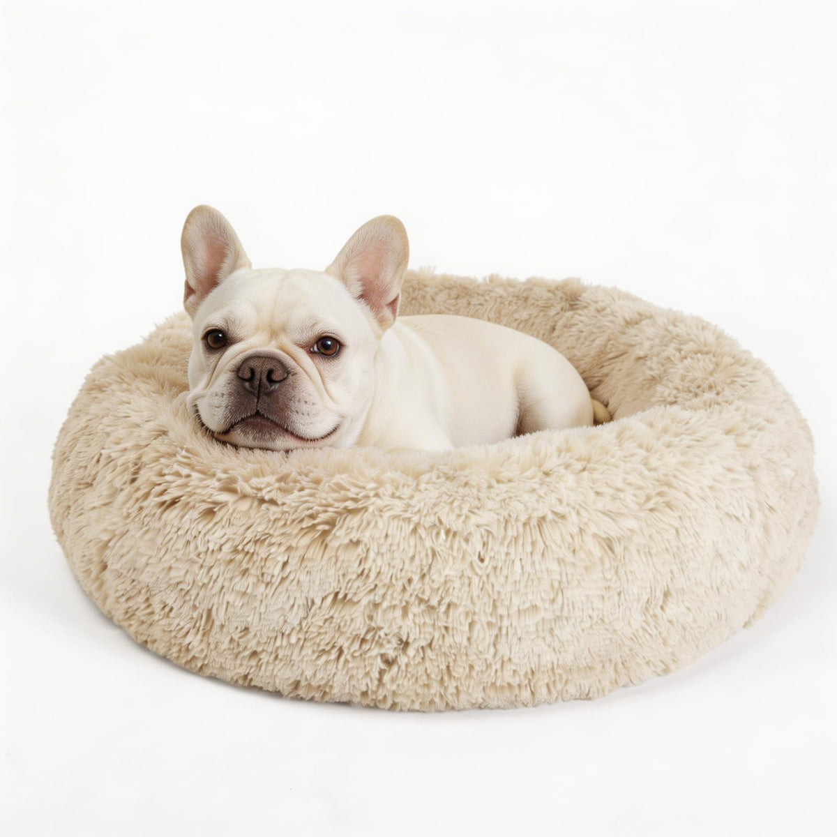 Small Calming Dogs Bed for Small Dogs Anti-Anxiety Machine Washable Fluffy Luxury Anti-Slip Waterproof Mute Base Warming Cozy Soft Pet Puppy Round Bed
