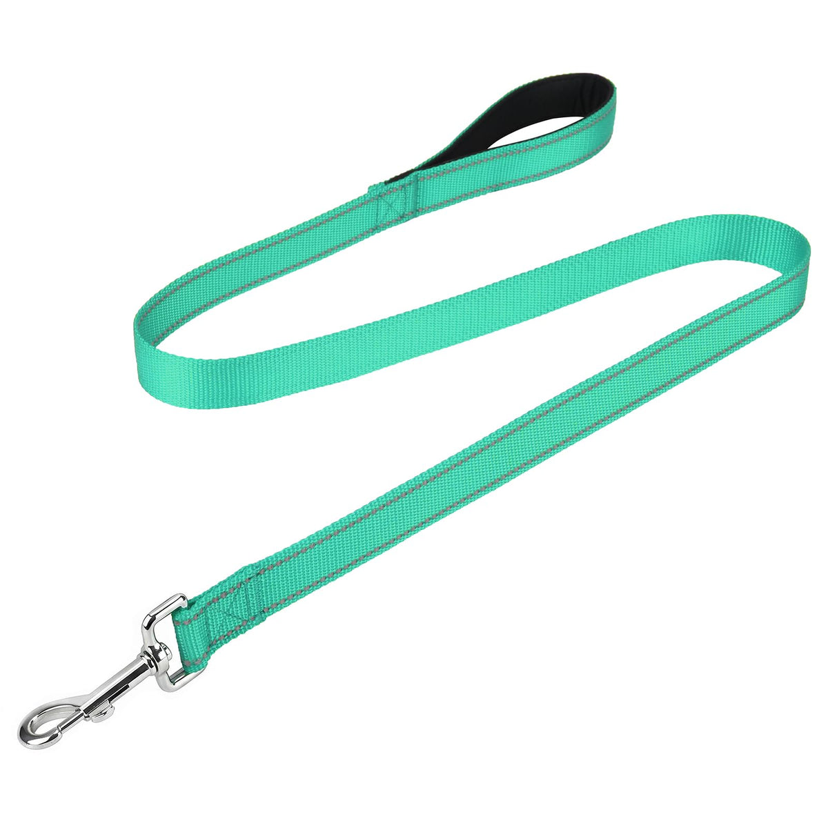 FunTags Reflective Nylon Dog Leash for Medium & Large Dogs, 6FT for Walks