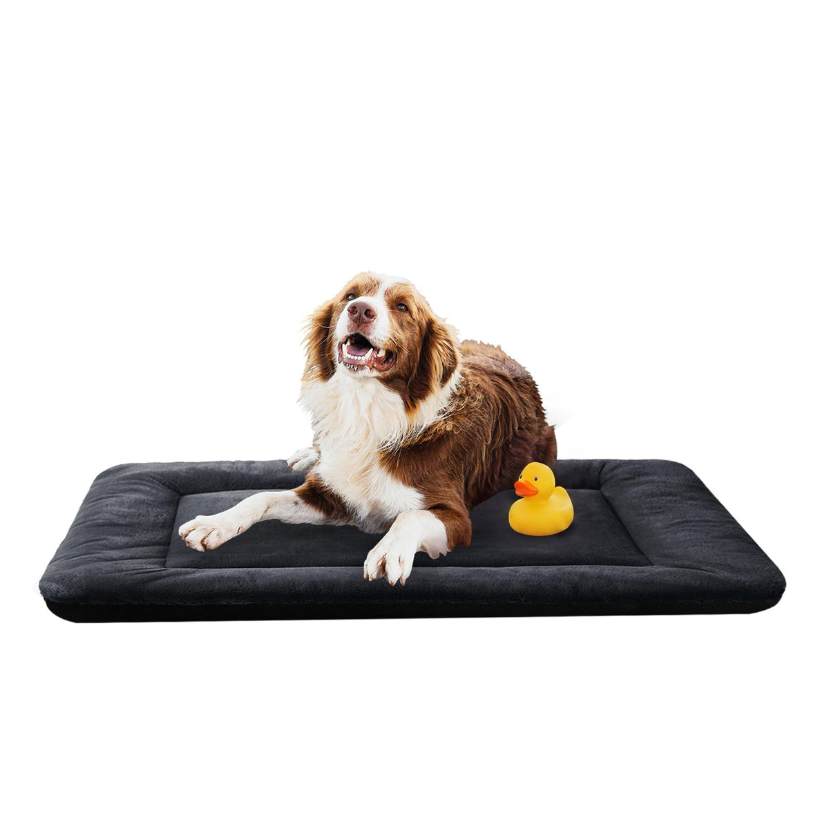 Dog Crate Pad Washable Dog Bed for Crate Medium Cozy Mat 36-Inch Gray