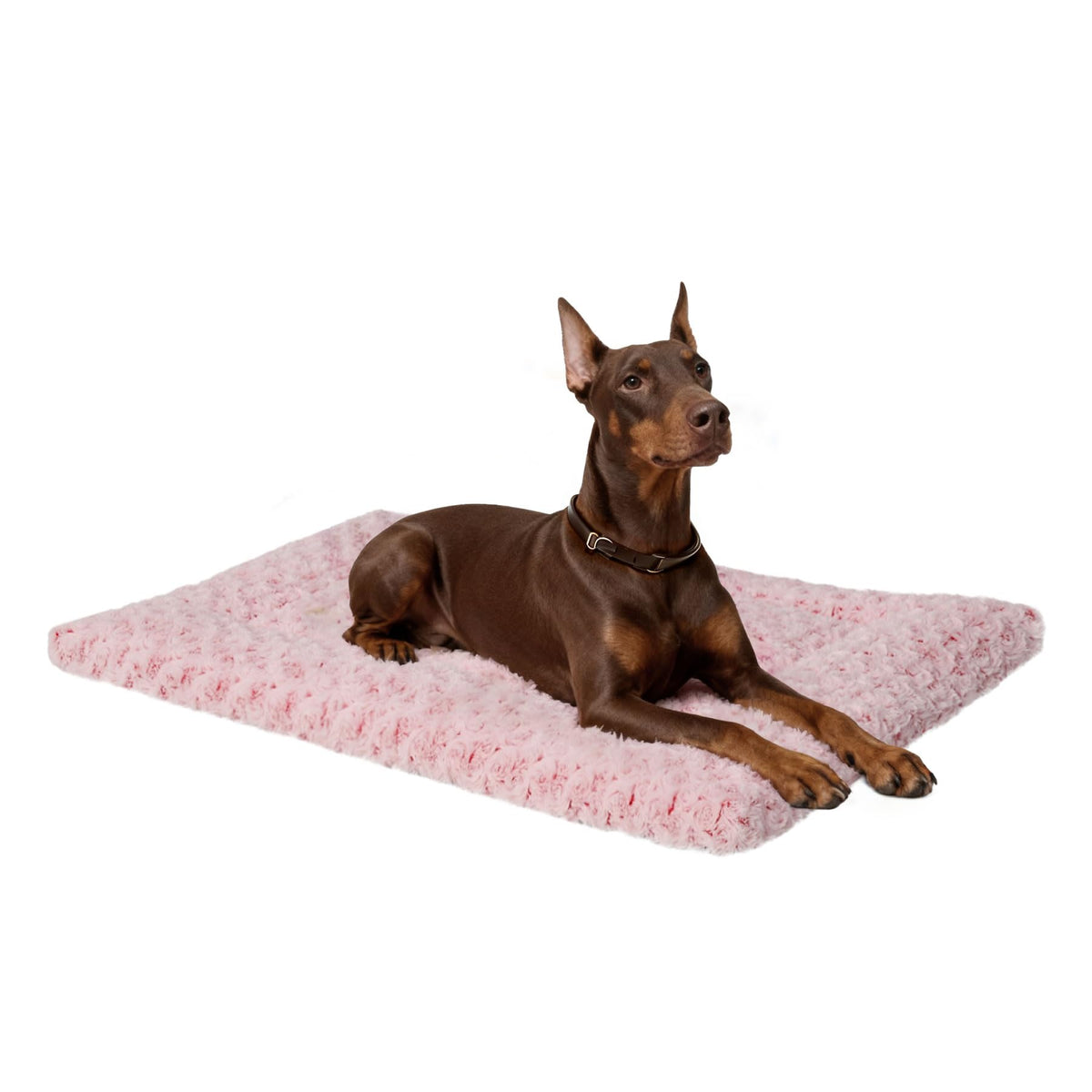 Exsnugy Washable Dog Bed Mat Medium Size Fluffy Pet Crate Pad 36x23